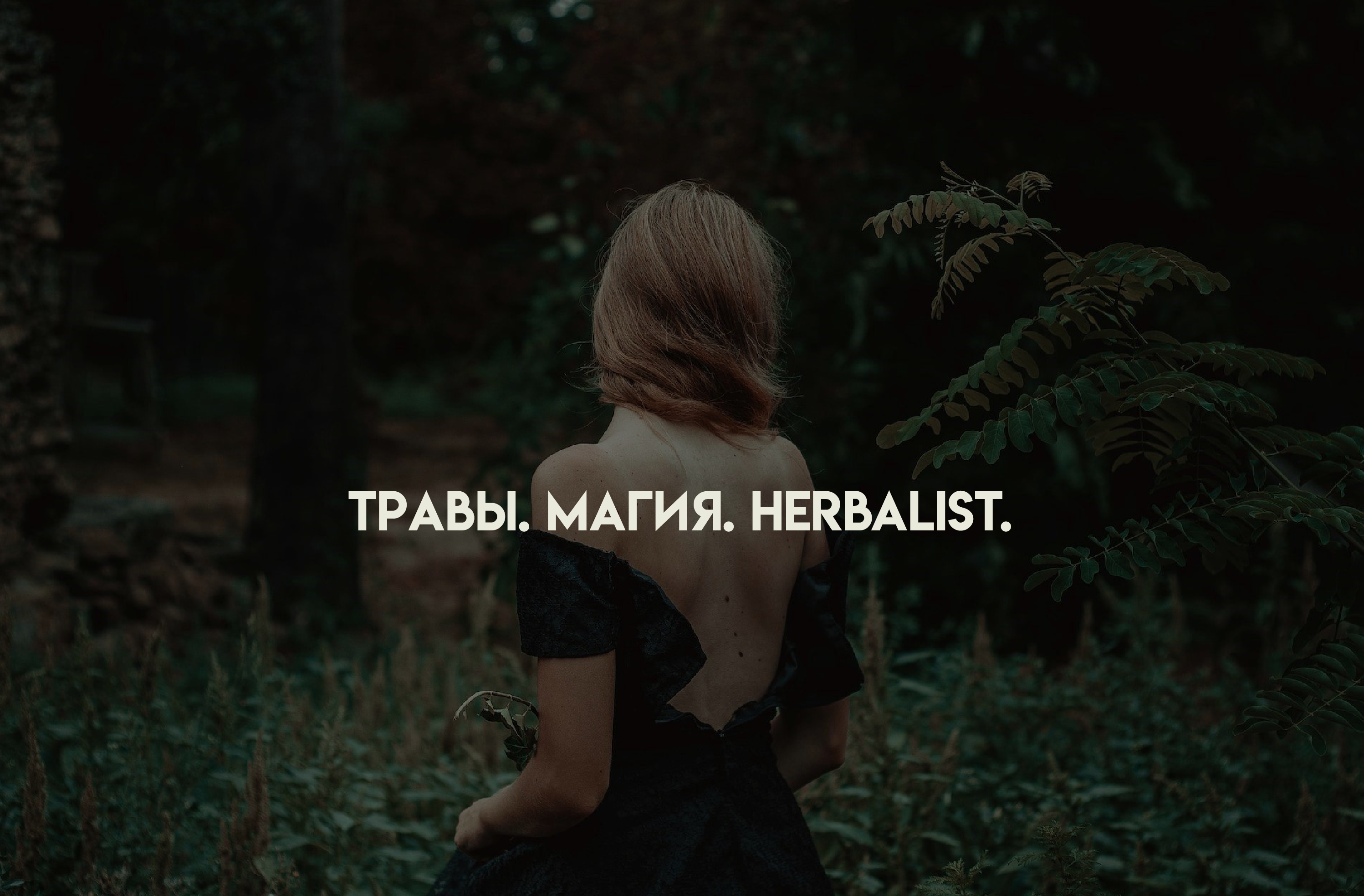 Brand Identity For Tea Store Herbalist / Чайный Магазин — Изображение №12 — Брендинг, Графика на Dprofile