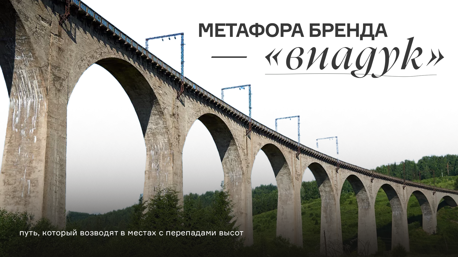 Altera — Изображение №2 — Брендинг на Dprofile