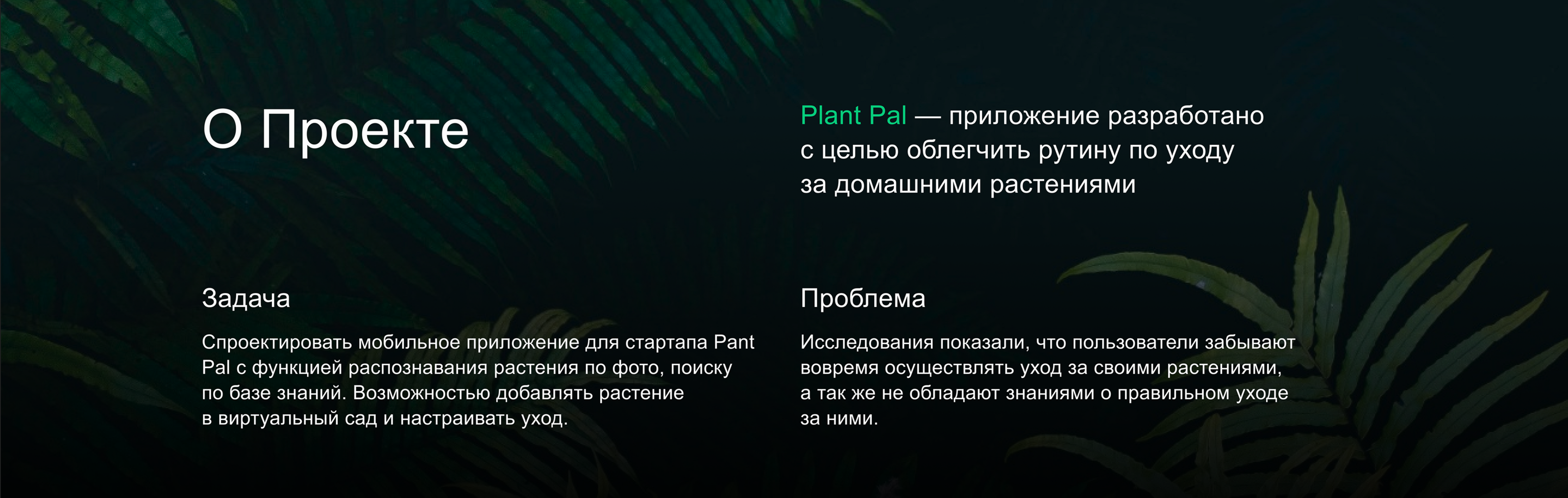 Plant Care Mobile app. Plant Pal | UX/UI — Изображение №2 — Интерфейсы на Dprofile
