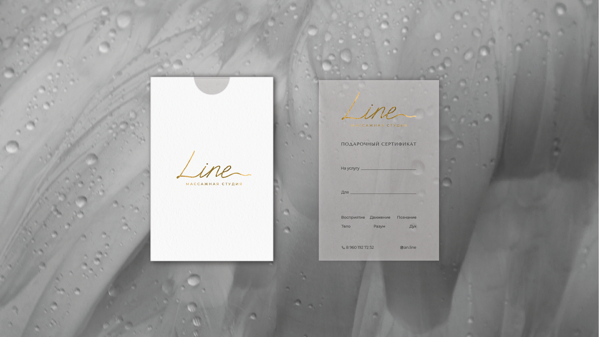 Логотип студии массажа Line — Изображение №11 — Брендинг на Dprofile