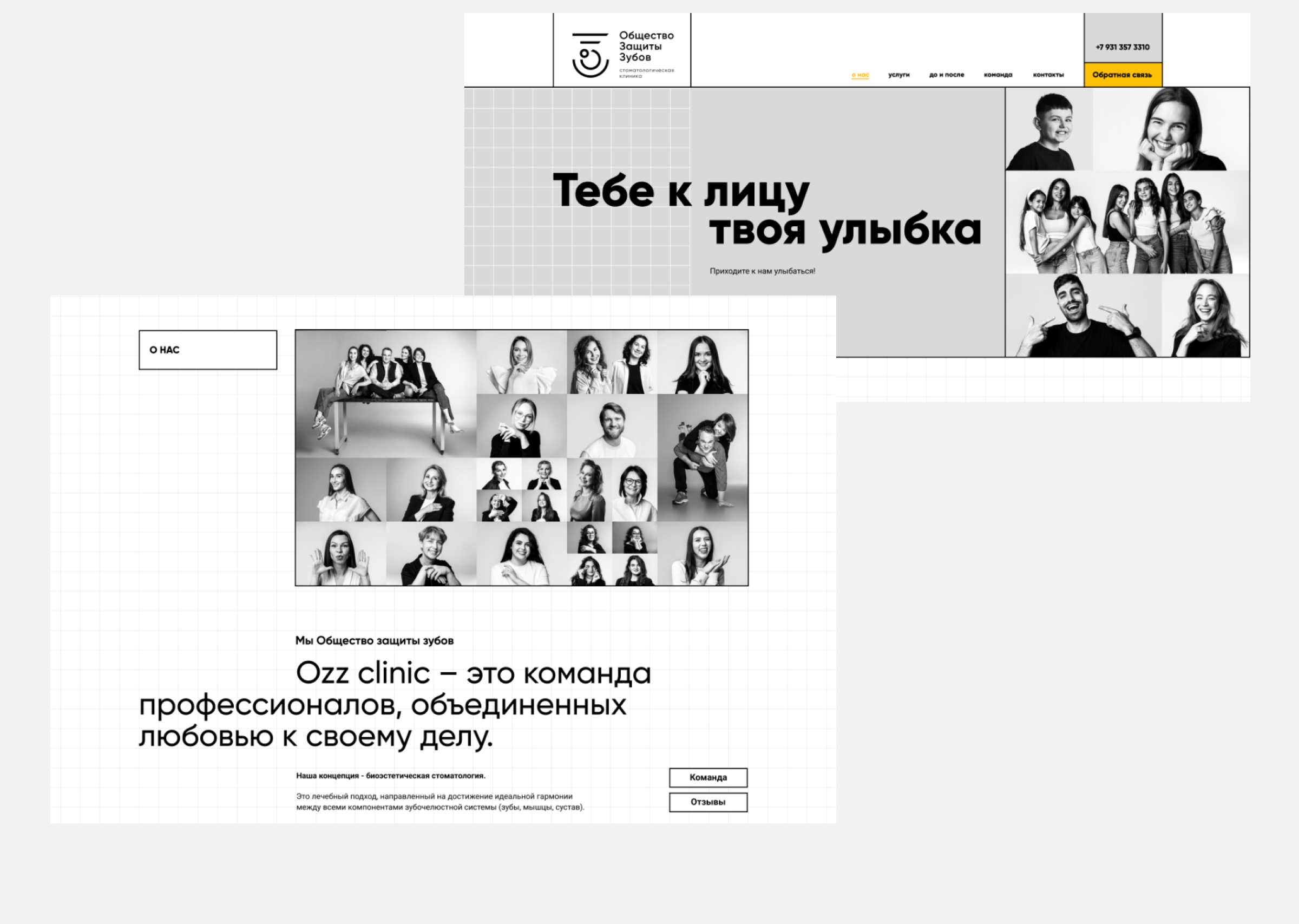 Общество Защиты зубов | Брендинг и сайт — Изображение №11 — Интерфейсы, Брендинг на Dprofile