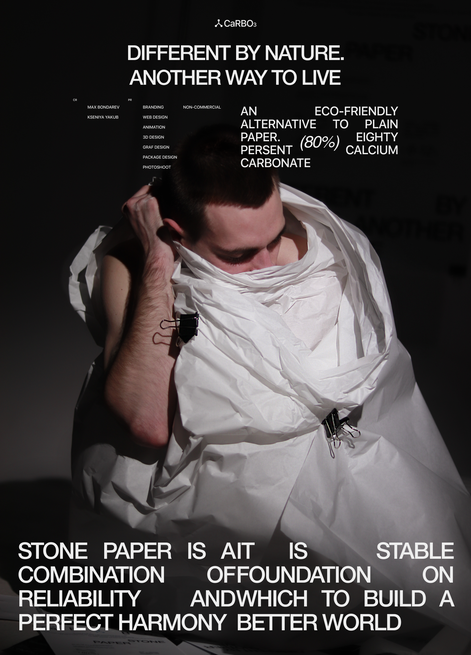 CaRBOз COMPANY | STONE PAPER — Изображение №1 — Интерфейсы, Брендинг на Dprofile