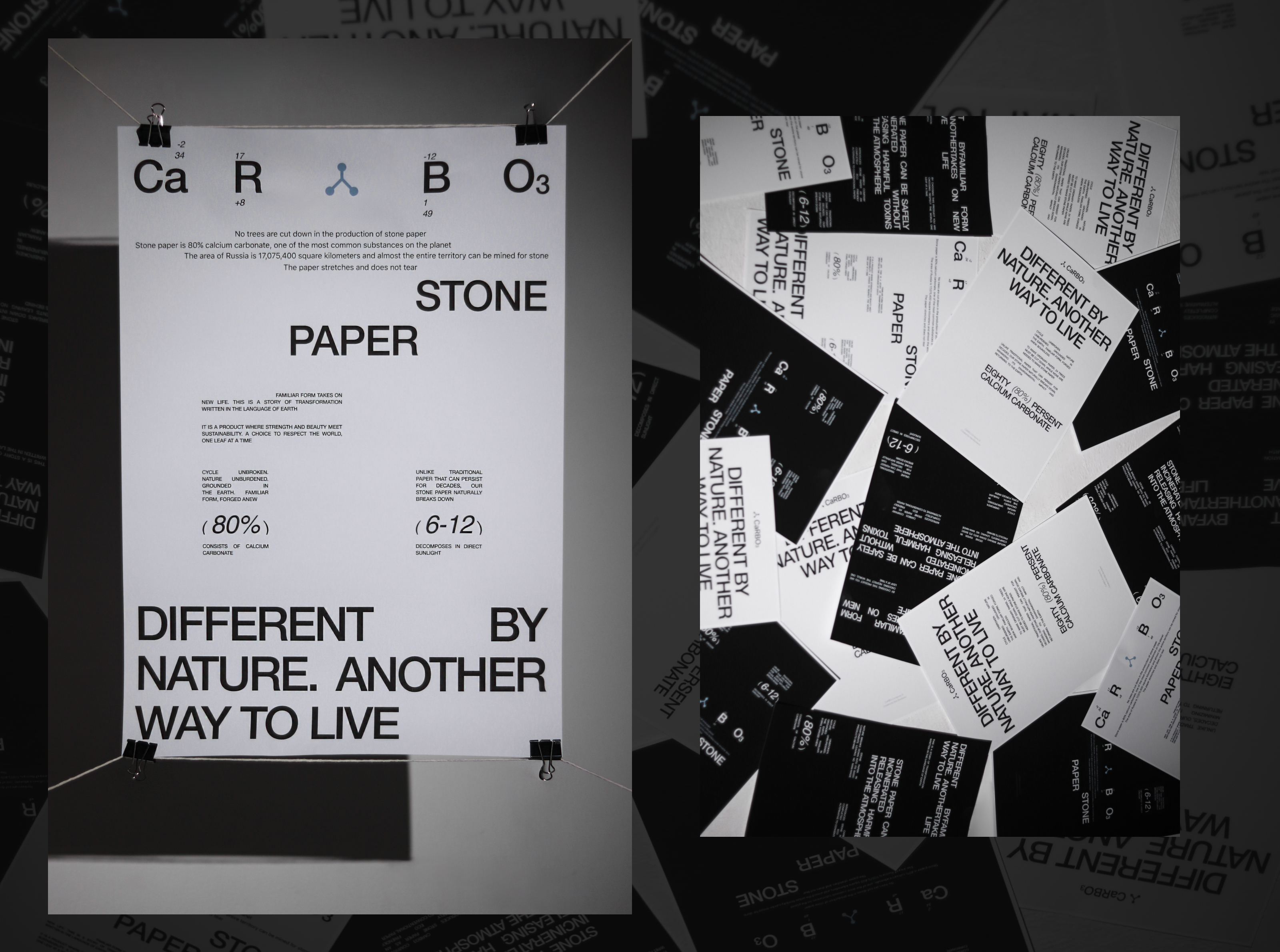 CaRBOз COMPANY | STONE PAPER — Изображение №9 — Интерфейсы, Брендинг на Dprofile