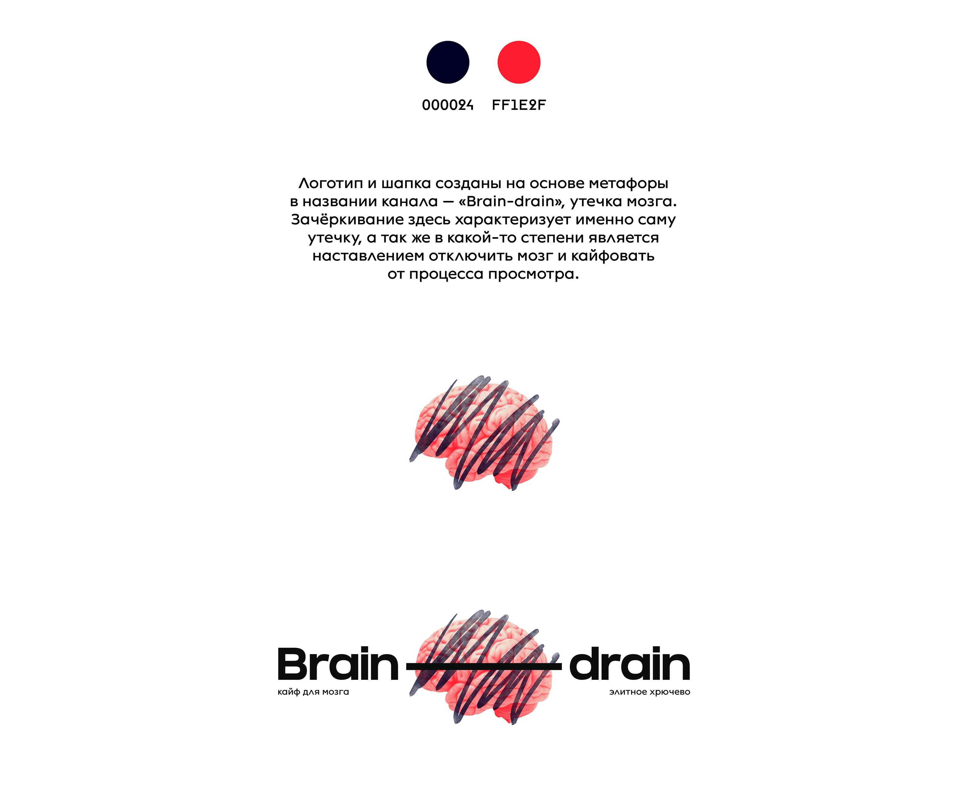 Оформление канала "Brain-drain" — Изображение №3 — Брендинг на Dprofile