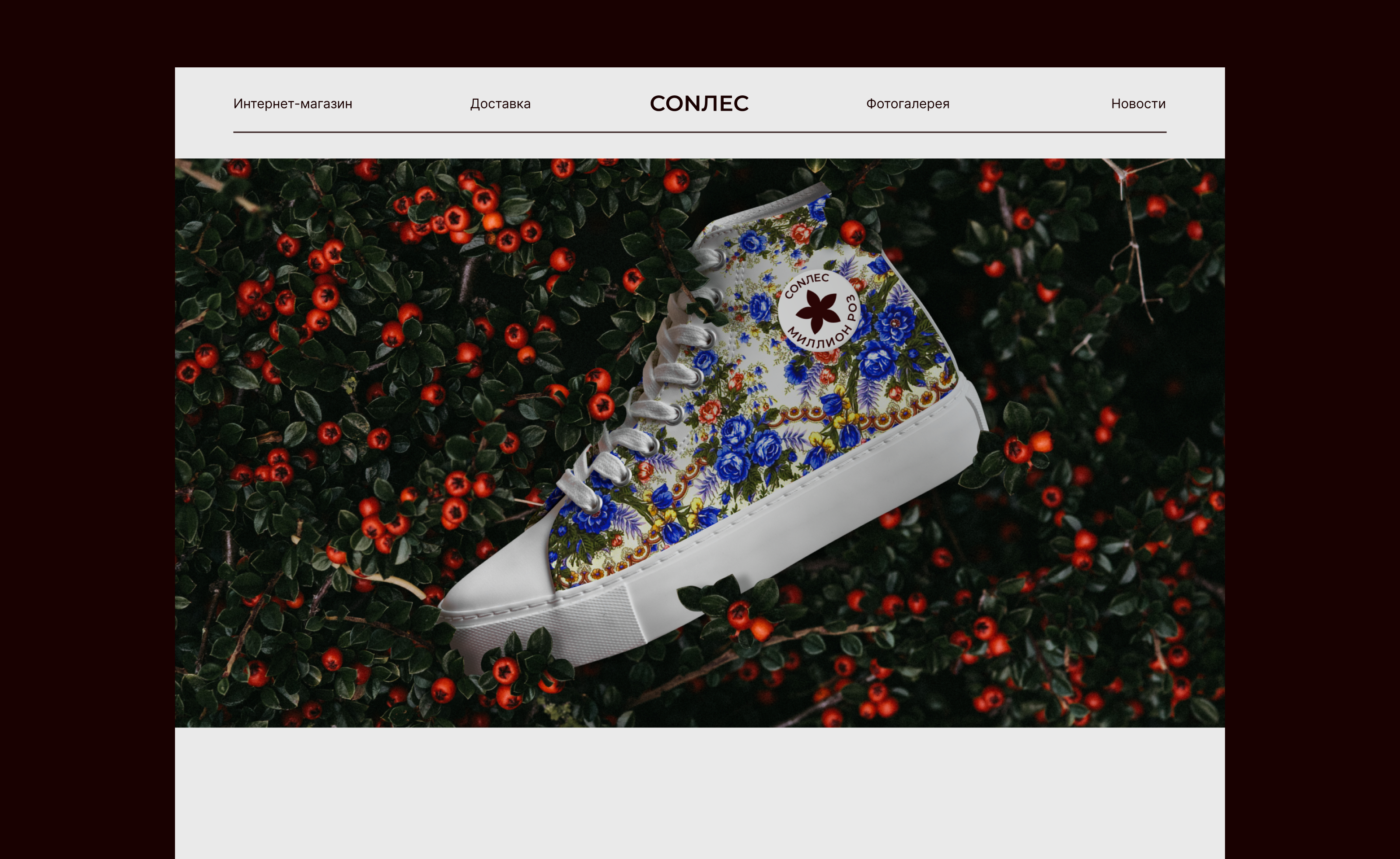 CONVERSE  по русски/промо-сайт — Изображение №2 — Интерфейсы, Графика на Dprofile