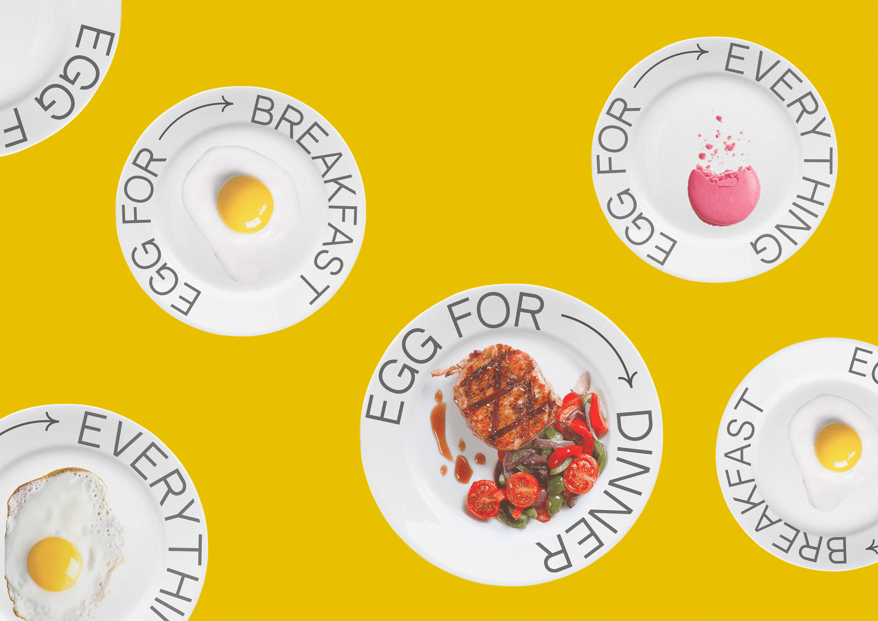 EGG FOR EVERYTHING — Изображение №14 — Брендинг, Графика, 3D на Dprofile