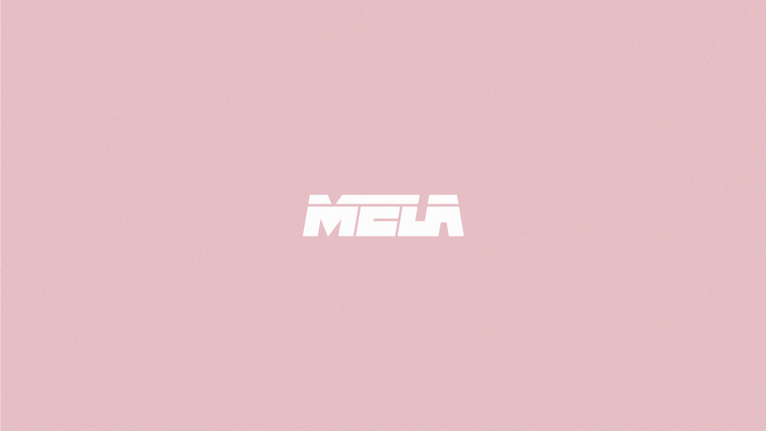 MELA / Brand identity — Изображение №3 — Брендинг, Графика на Dprofile