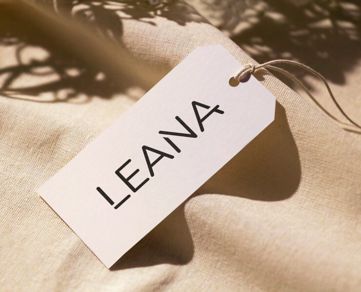 Leana | логотип и фирменный стиль — Брендинг, Графика на Dprofile