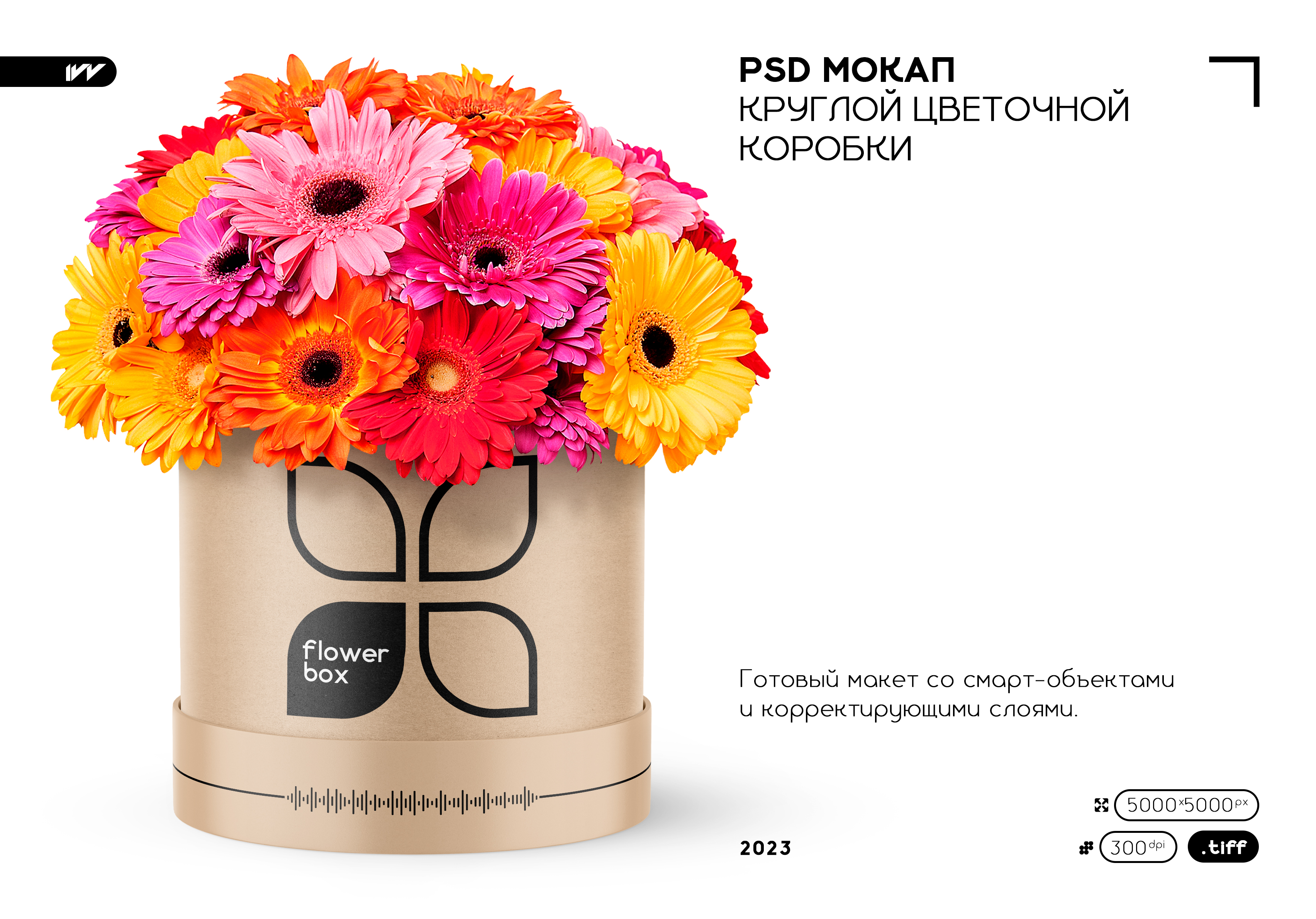 PSD Мокап круглой цветочной коробки — Изображение №1 — Брендинг, 3D на Dprofile