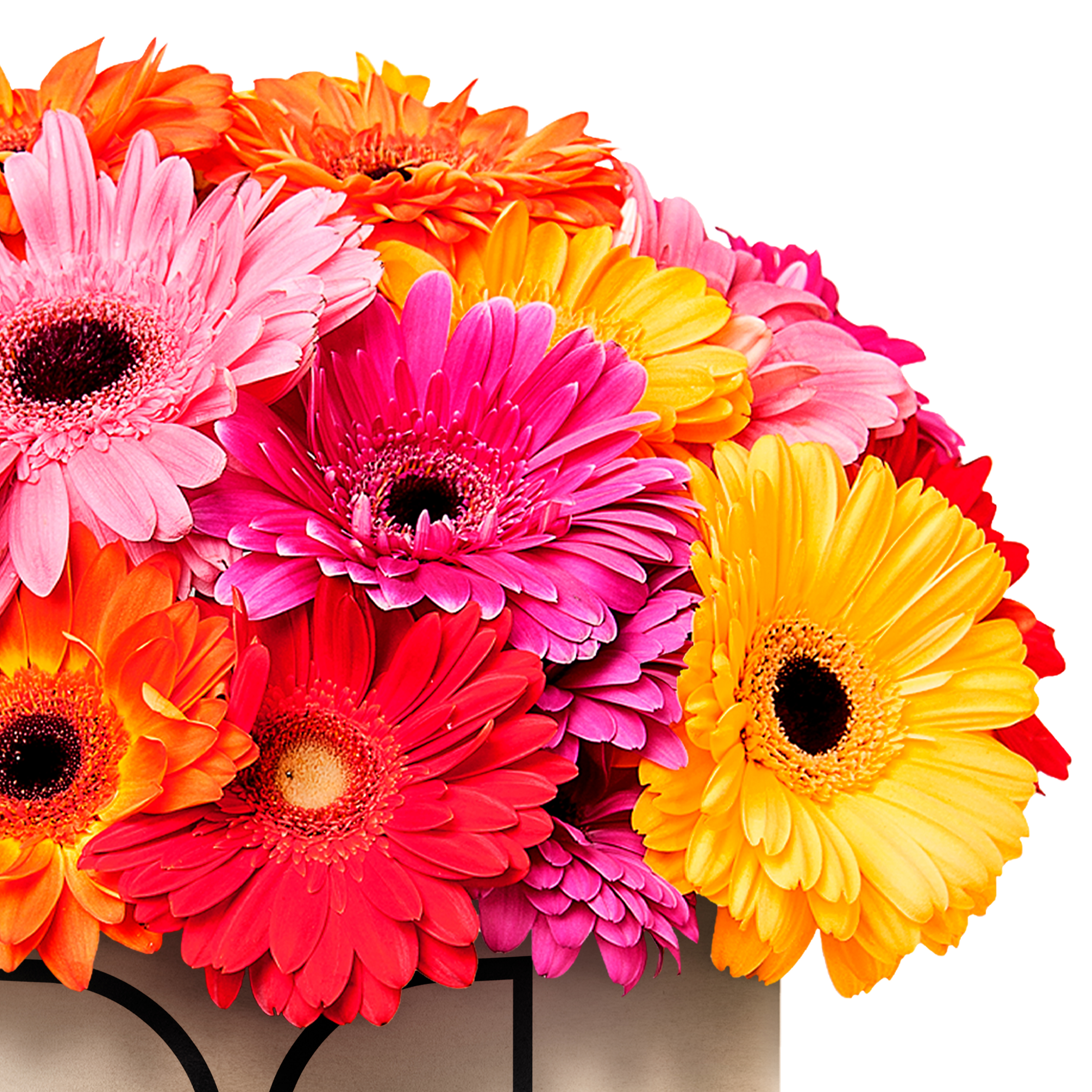 PSD Мокап круглой цветочной коробки — Изображение №4 — Брендинг, 3D на Dprofile