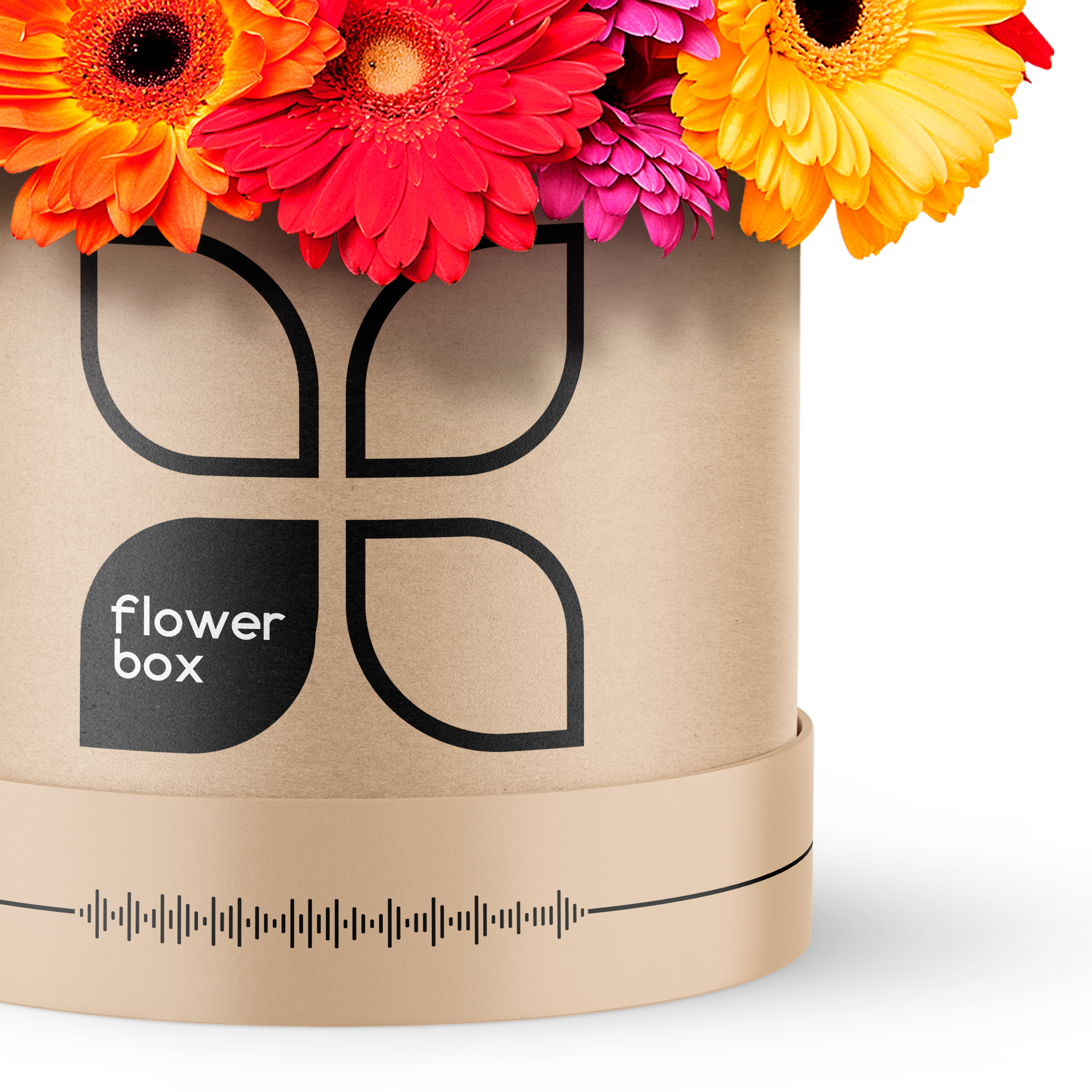 PSD Мокап круглой цветочной коробки — Изображение №3 — Брендинг, 3D на Dprofile