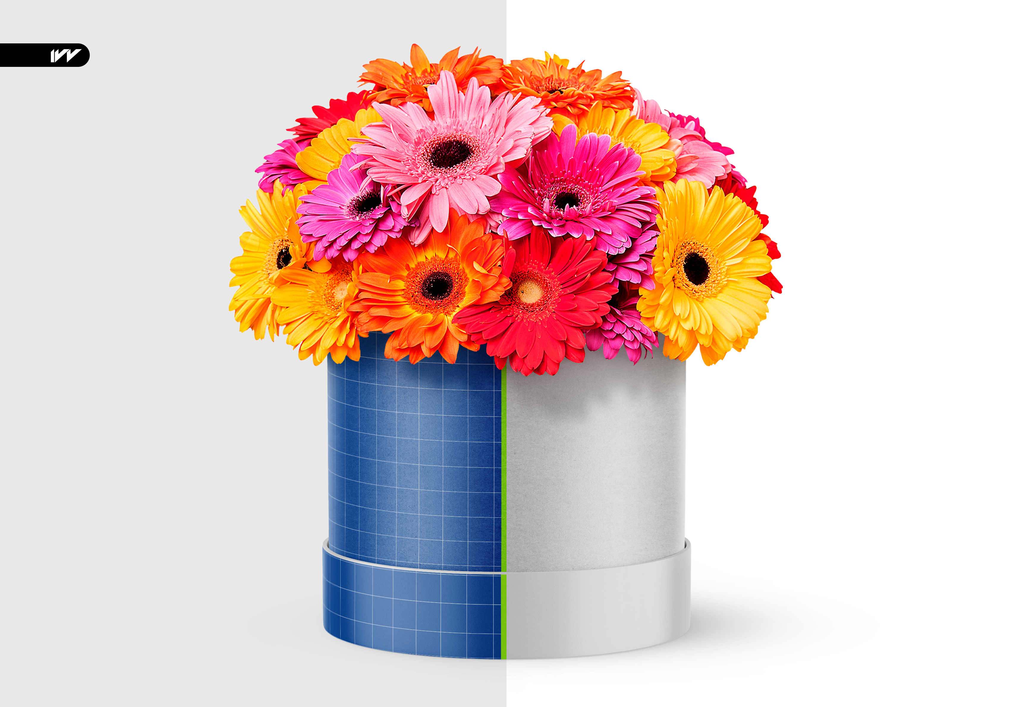 PSD Мокап круглой цветочной коробки — Изображение №2 — Брендинг, 3D на Dprofile