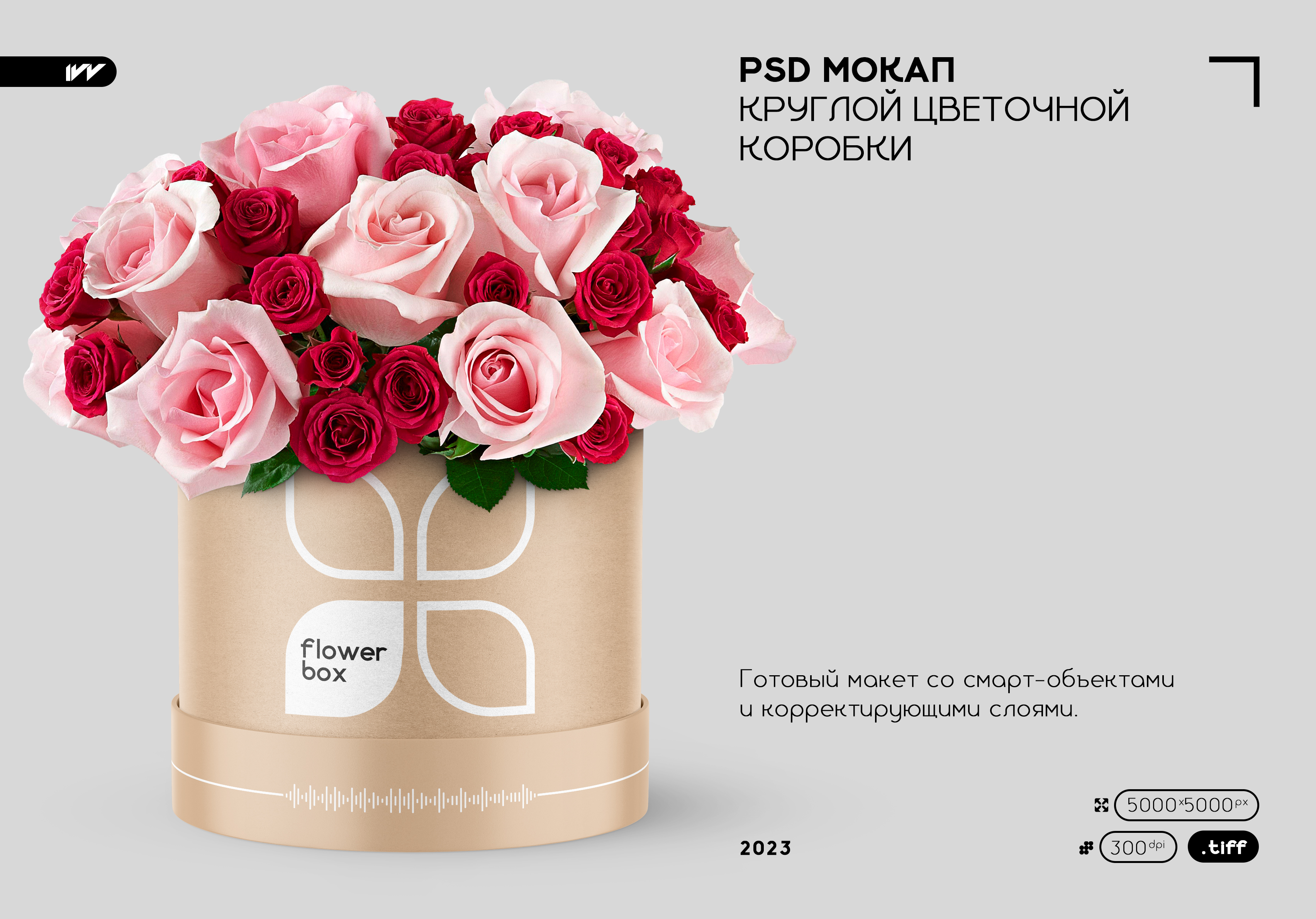 PSD Мокап круглой цветочной коробки — Изображение №1 — Брендинг, 3D на Dprofile