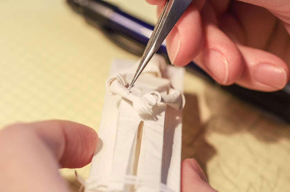 Fan The Flame — Изображение №11 — Иллюстрация, Графика на Dprofile