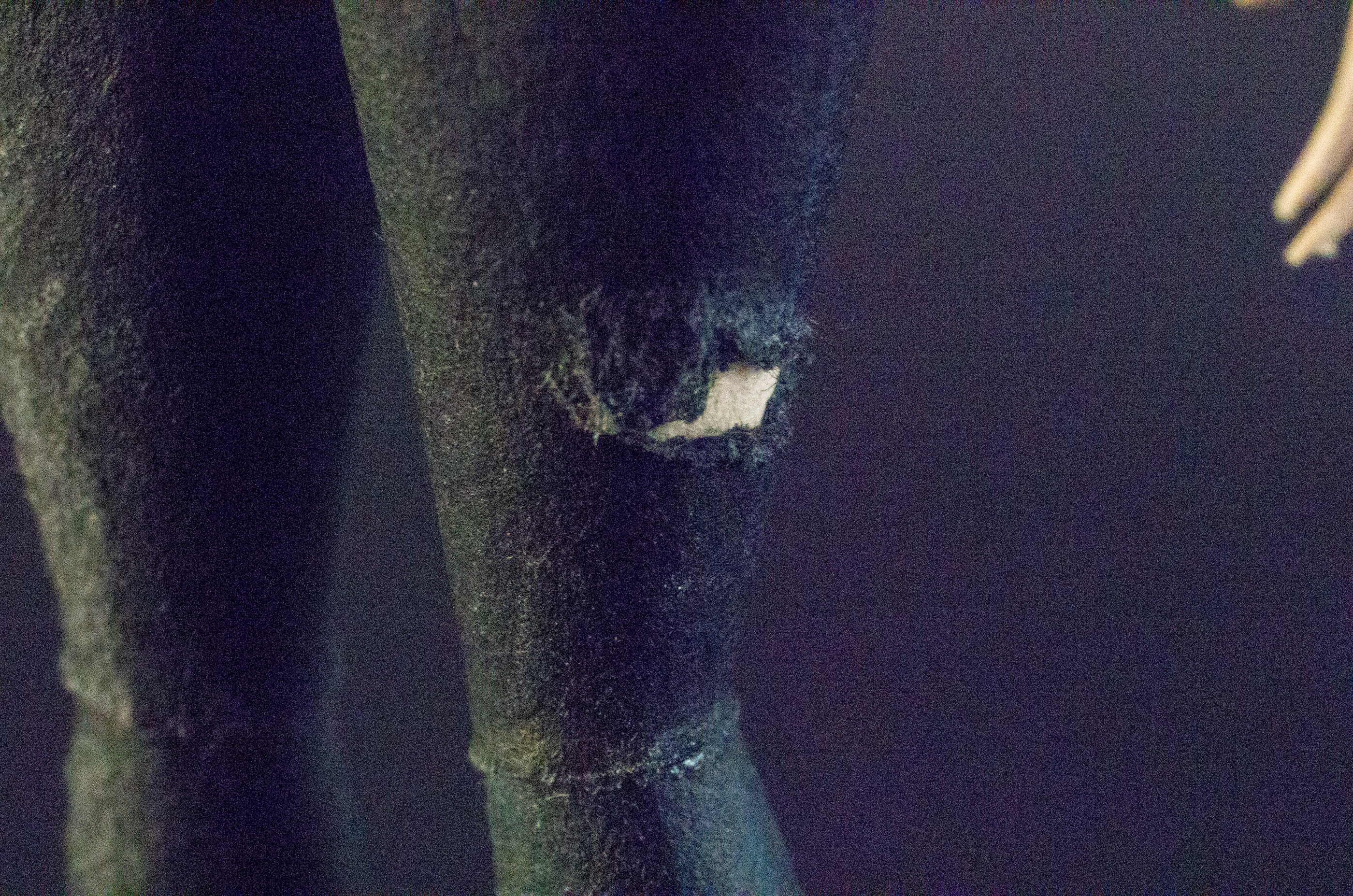 Бумажные — Изображение №33 — Иллюстрация на Dprofile