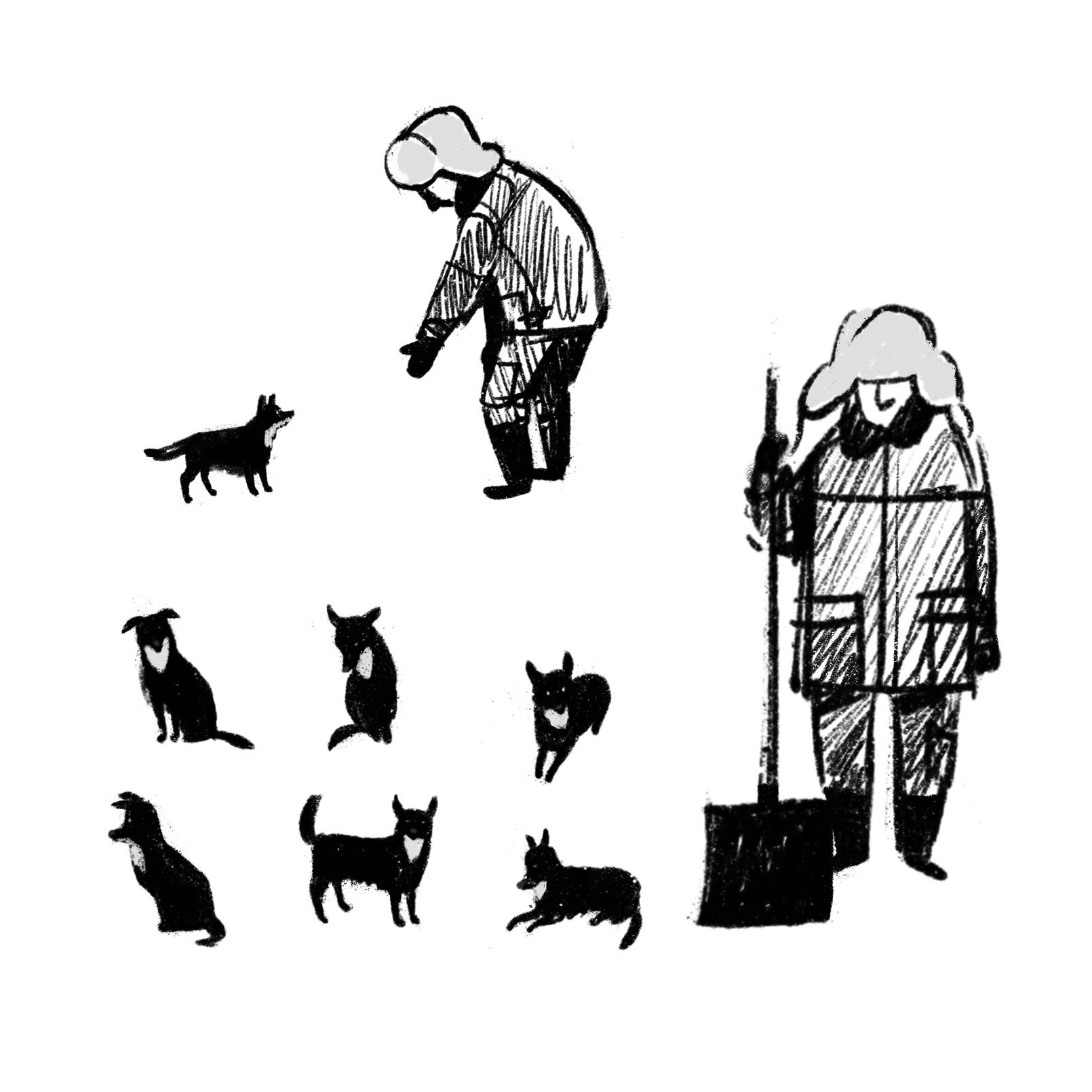 Пулька — Изображение №3 — Иллюстрация на Dprofile