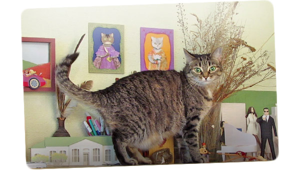 Котопортреты — Изображение №13 — Иллюстрация на Dprofile
