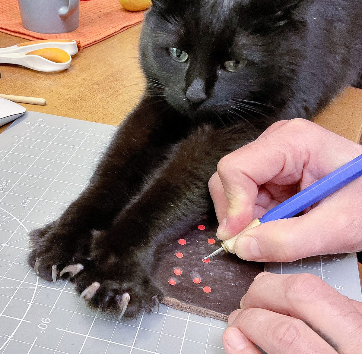 Представь! — Изображение №11 — Иллюстрация на Dprofile