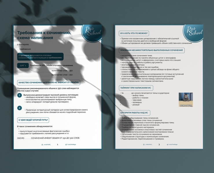 RusSchool — Брендинг, Графика на Dprofile
