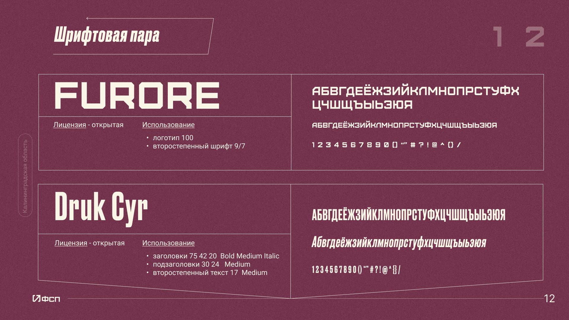 Брендинг/Федерация спортивного программирования — Изображение №15 — Брендинг на Dprofile