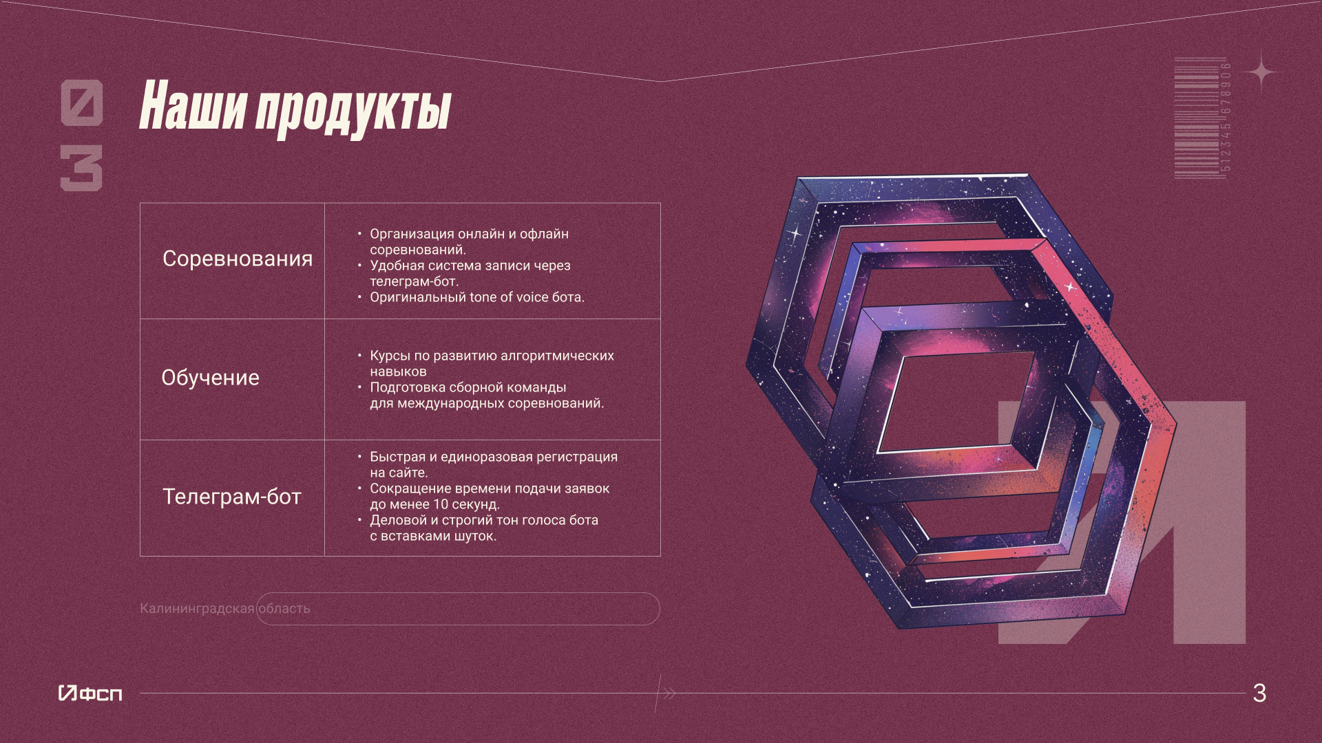 Брендинг/Федерация спортивного программирования — Изображение №4 — Брендинг на Dprofile