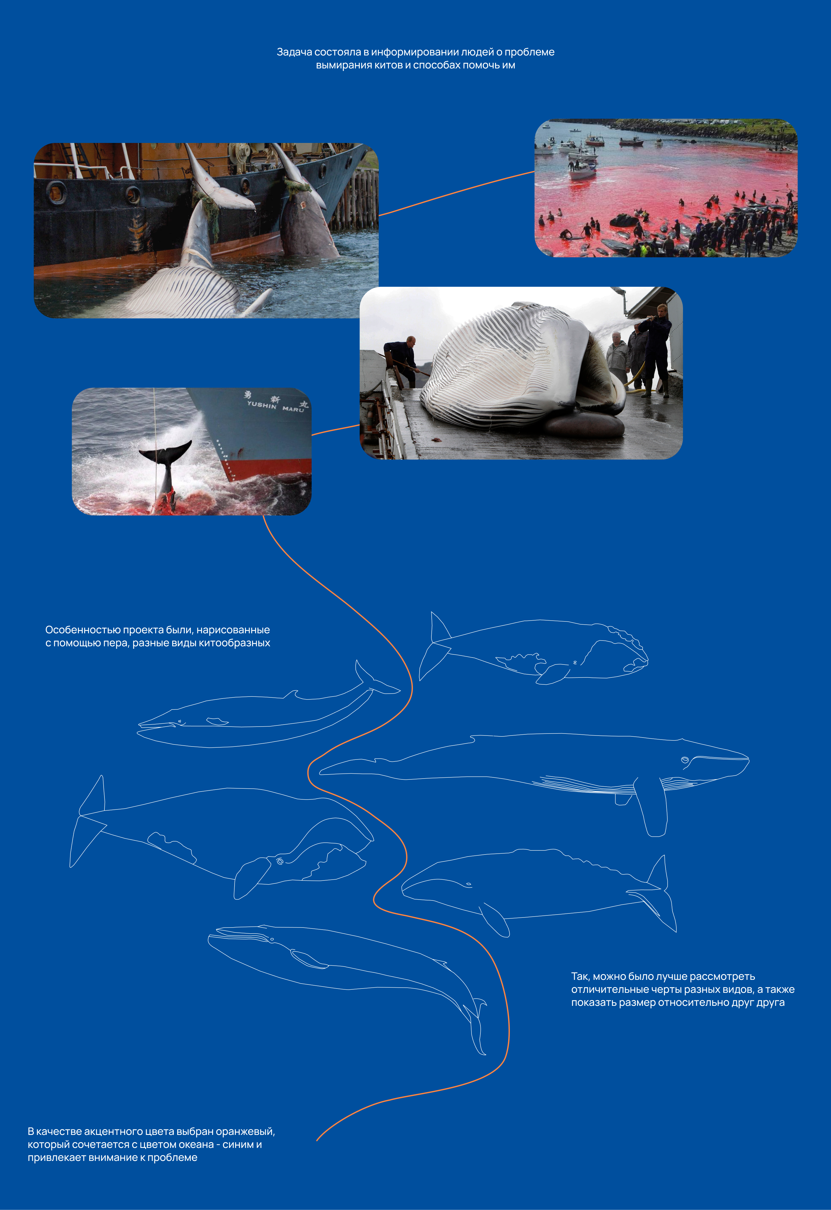 Save whales | Landing page — Изображение №2 — Интерфейсы, Иллюстрация на Dprofile