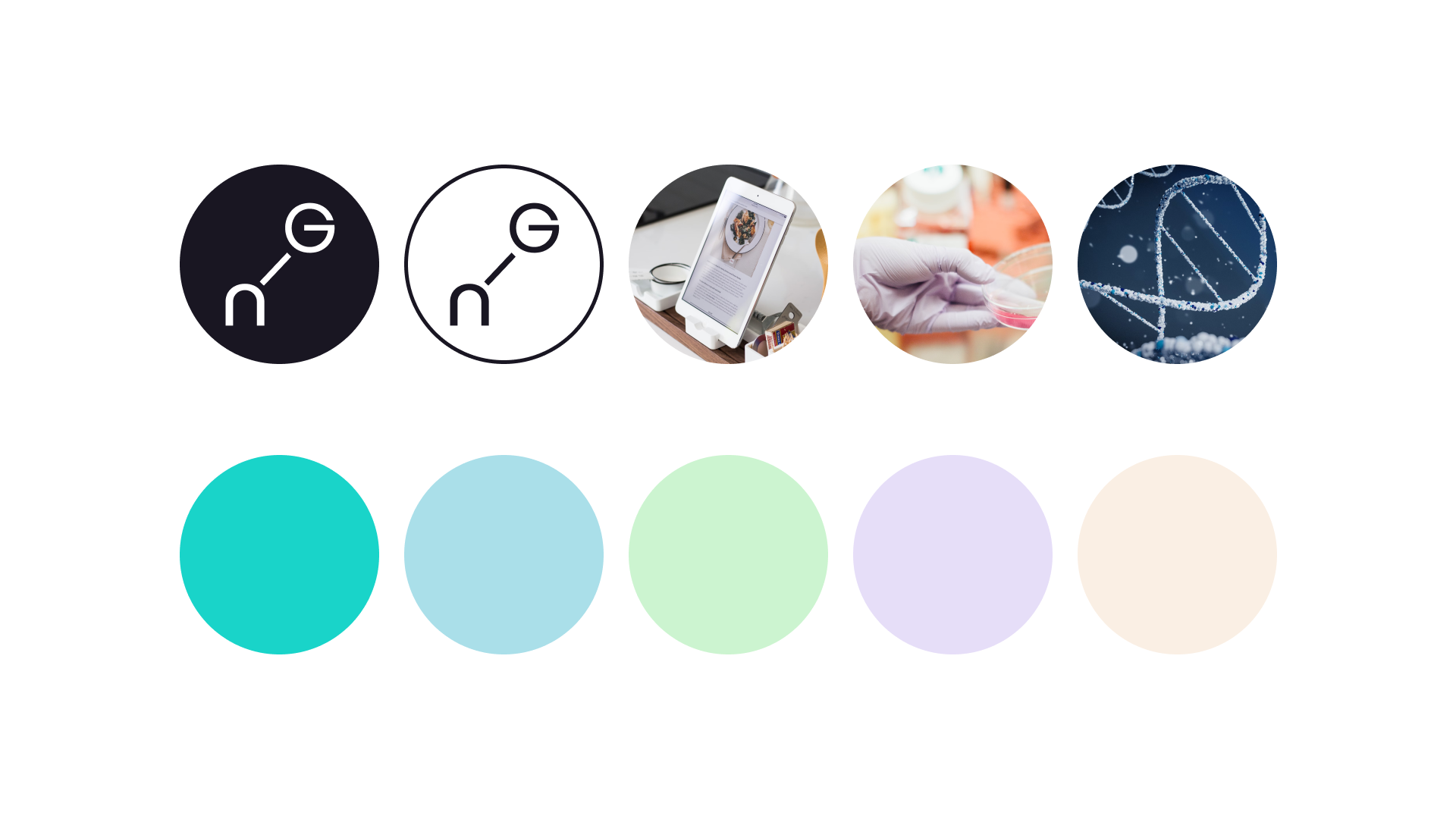 Название и фирстиль для nGENE (FoodTech) — Изображение №4 — Брендинг на Dprofile