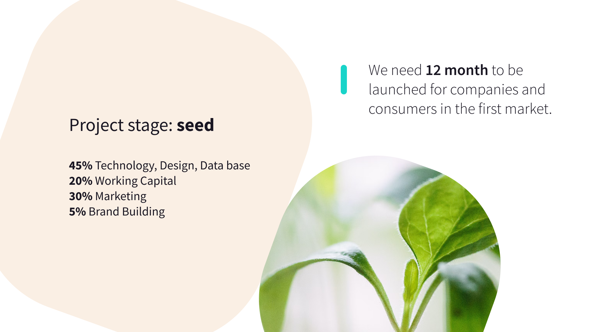 Название и фирстиль для nGENE (FoodTech) — Изображение №8 — Брендинг на Dprofile