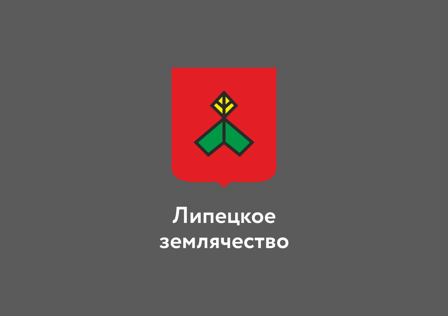 Логотип, Липецкое землячество — Изображение №6 — Брендинг на Dprofile