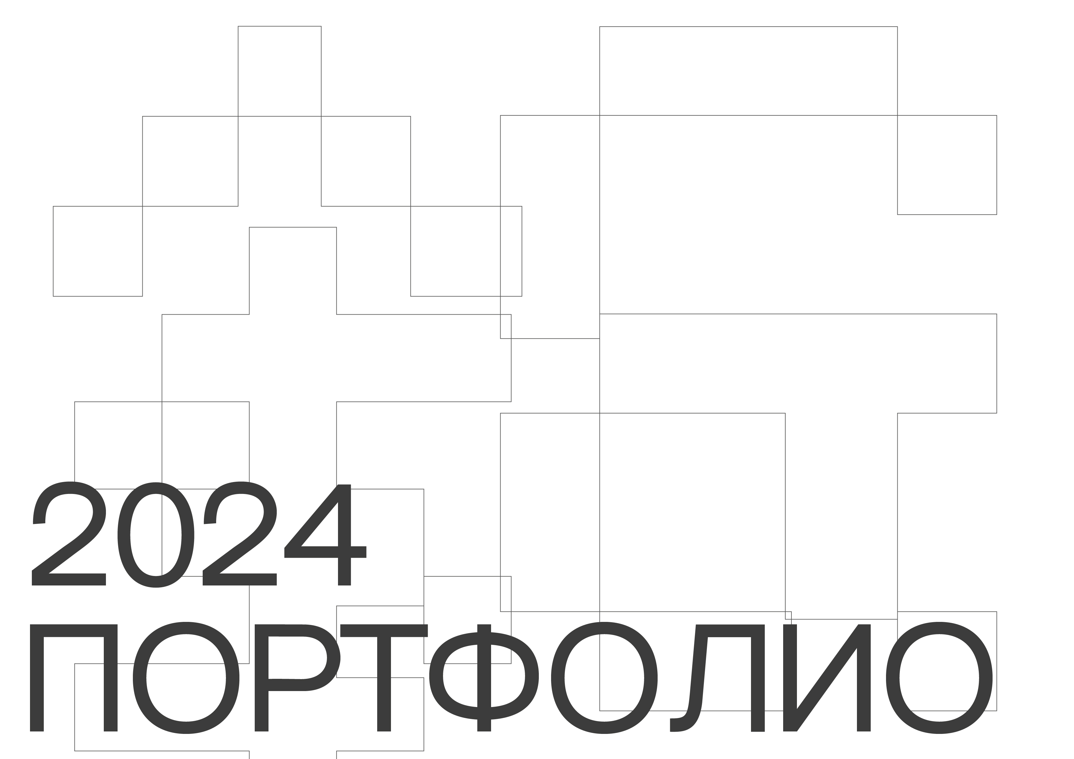 Portfolio 2024 Aldinova Regina — Изображение №1 — Брендинг, Графика на Dprofile