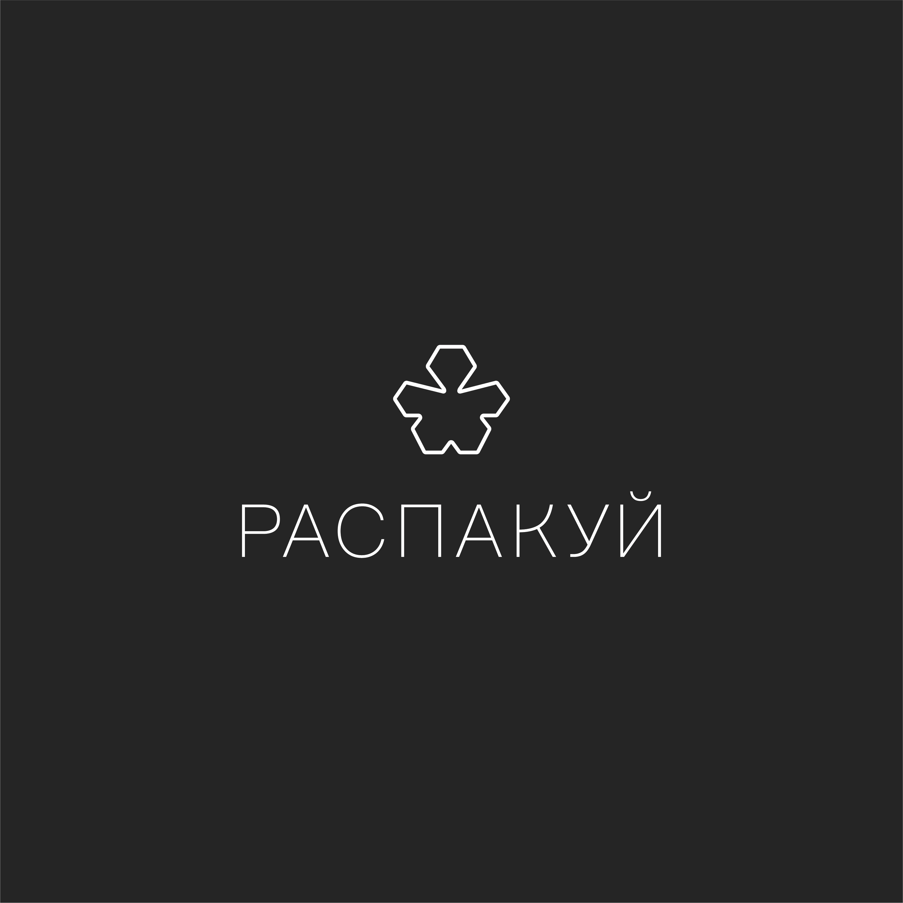 Фирменный стиль для "Распакуй" и дизайн упаковки — Изображение №2 — Брендинг, Графика на Dprofile