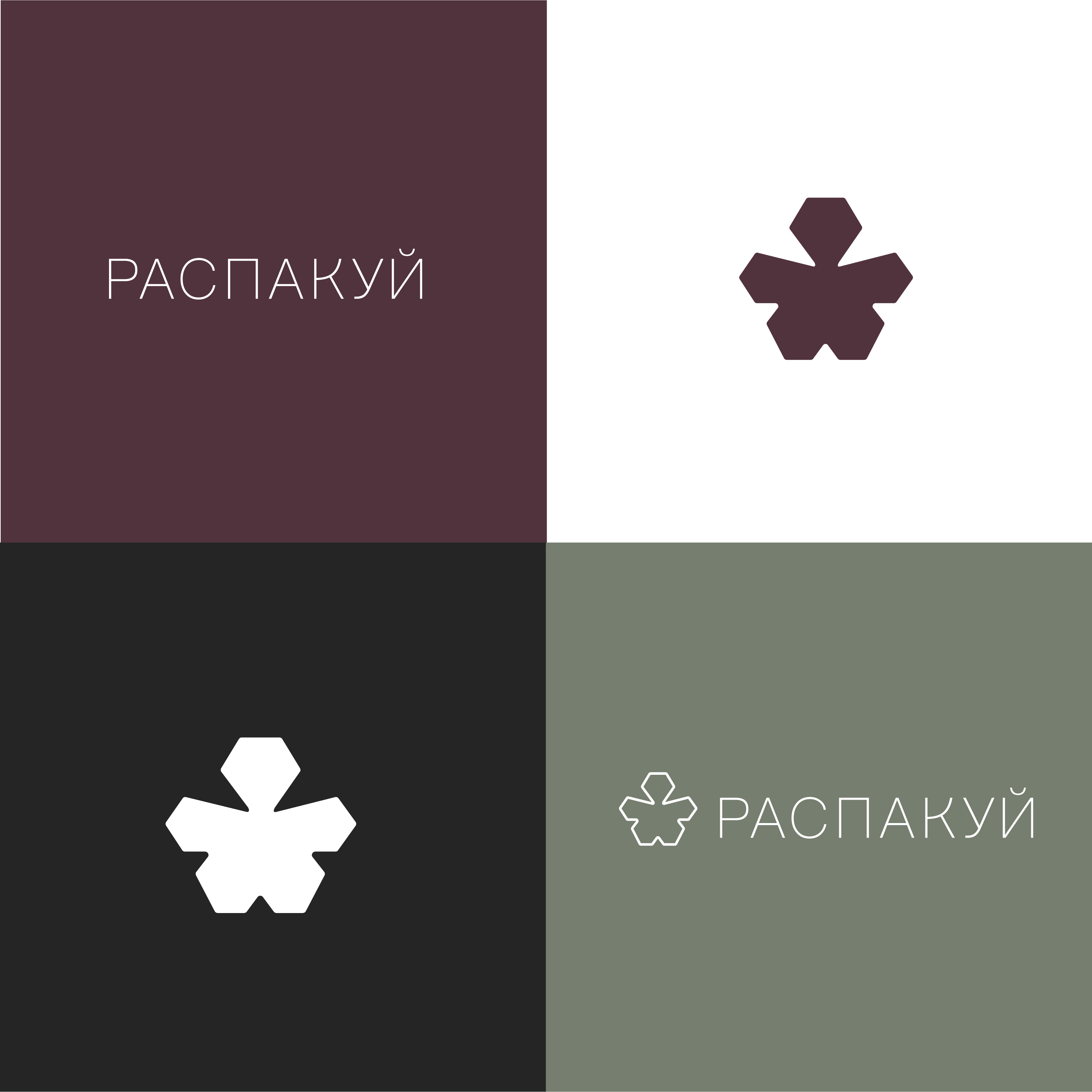 Фирменный стиль для "Распакуй" и дизайн упаковки — Изображение №3 — Брендинг, Графика на Dprofile