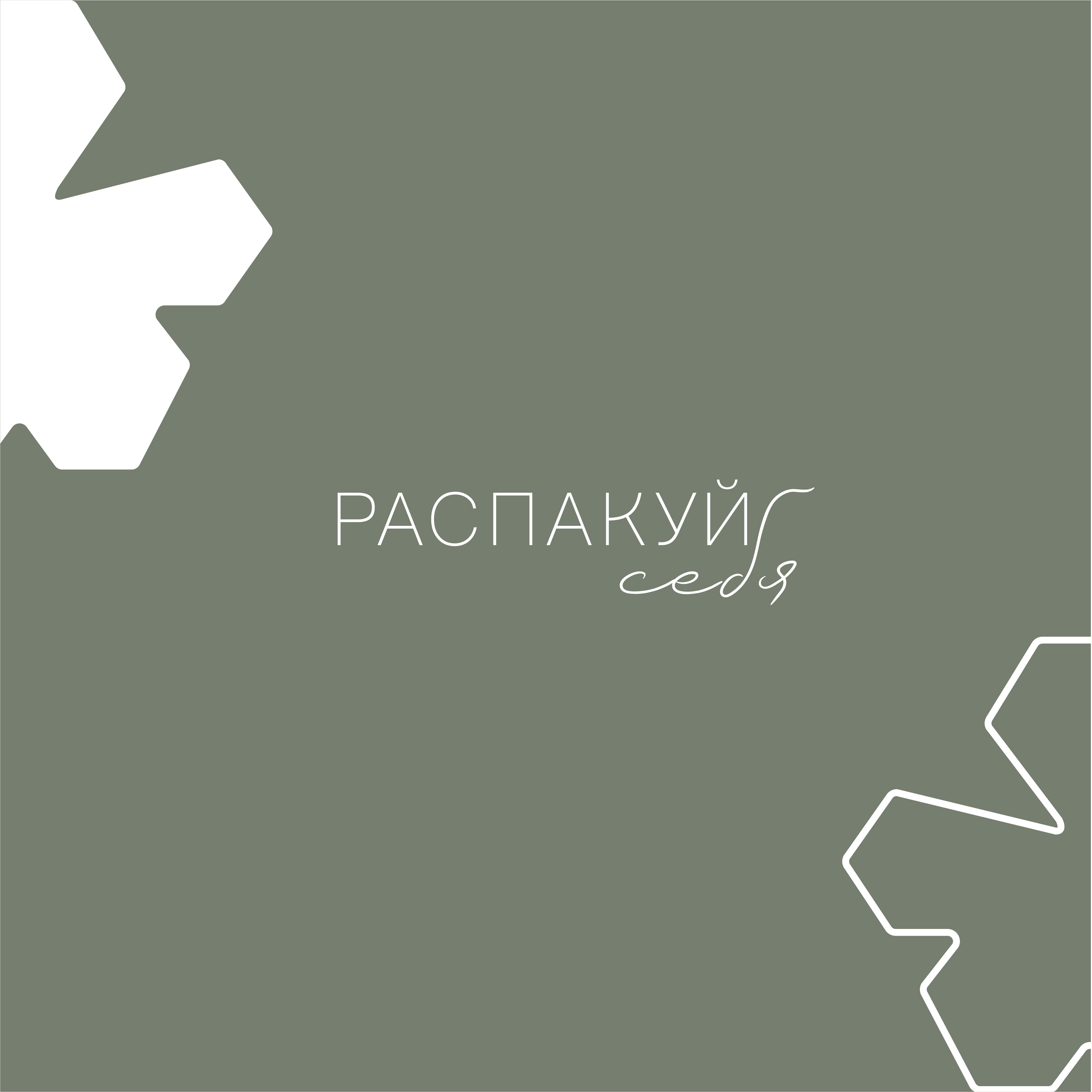 Фирменный стиль для "Распакуй" и дизайн упаковки — Изображение №4 — Брендинг, Графика на Dprofile