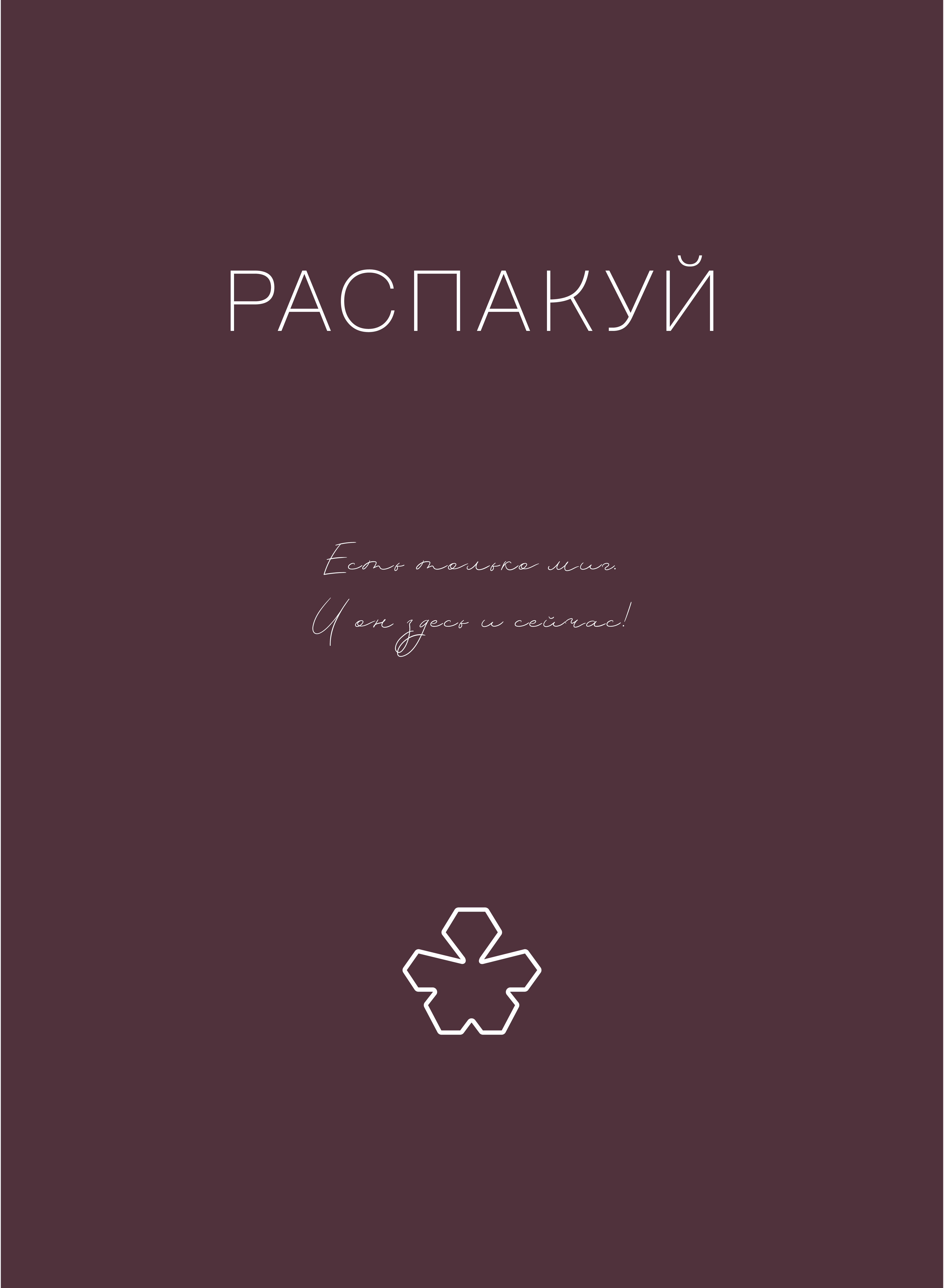 Фирменный стиль для "Распакуй" и дизайн упаковки — Изображение №10 — Брендинг, Графика на Dprofile