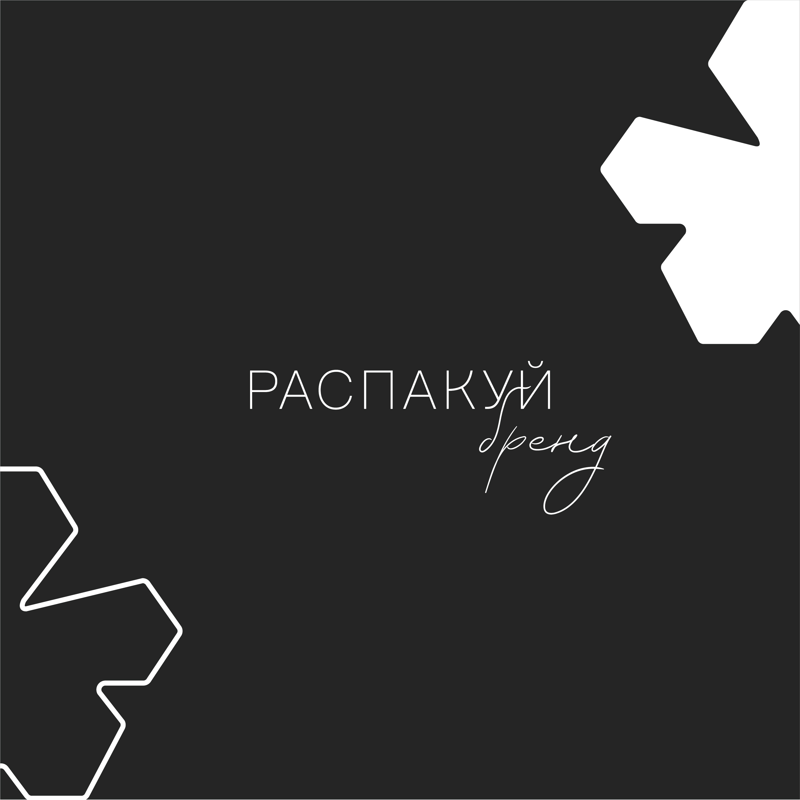 Фирменный стиль для "Распакуй" и дизайн упаковки — Изображение №5 — Брендинг, Графика на Dprofile