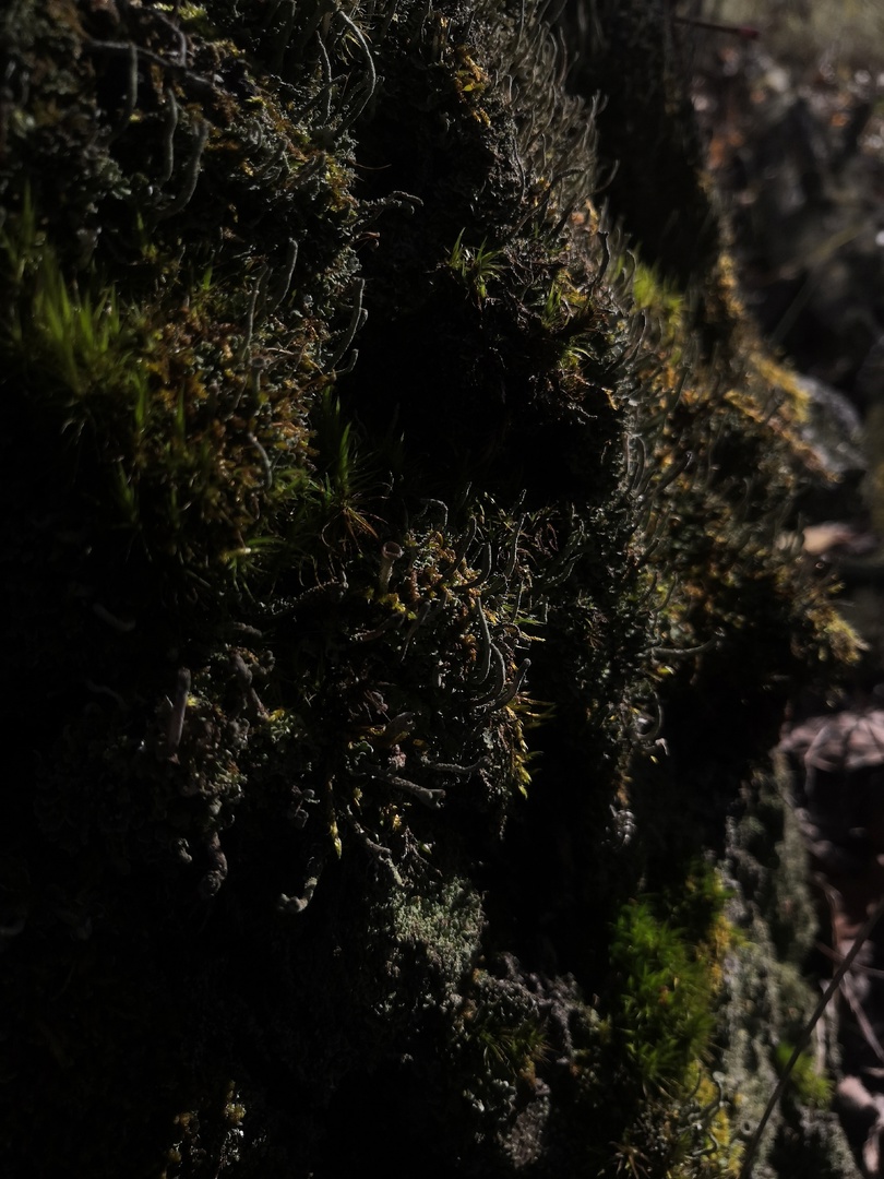 Мир Иллюстраций — Изображение №14 — Иллюстрация на Dprofile