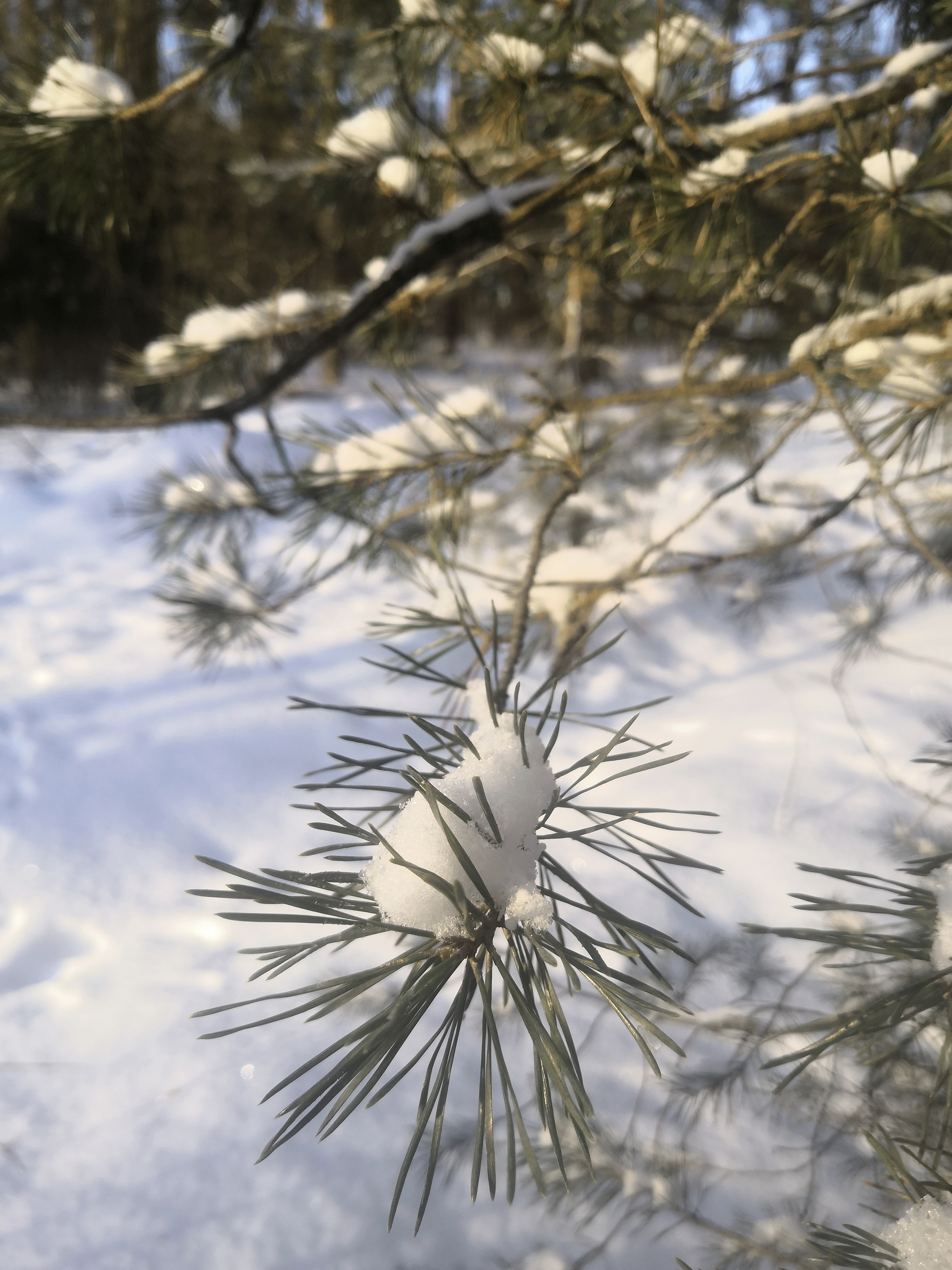 Мир Иллюстраций — Изображение №2 — Иллюстрация на Dprofile