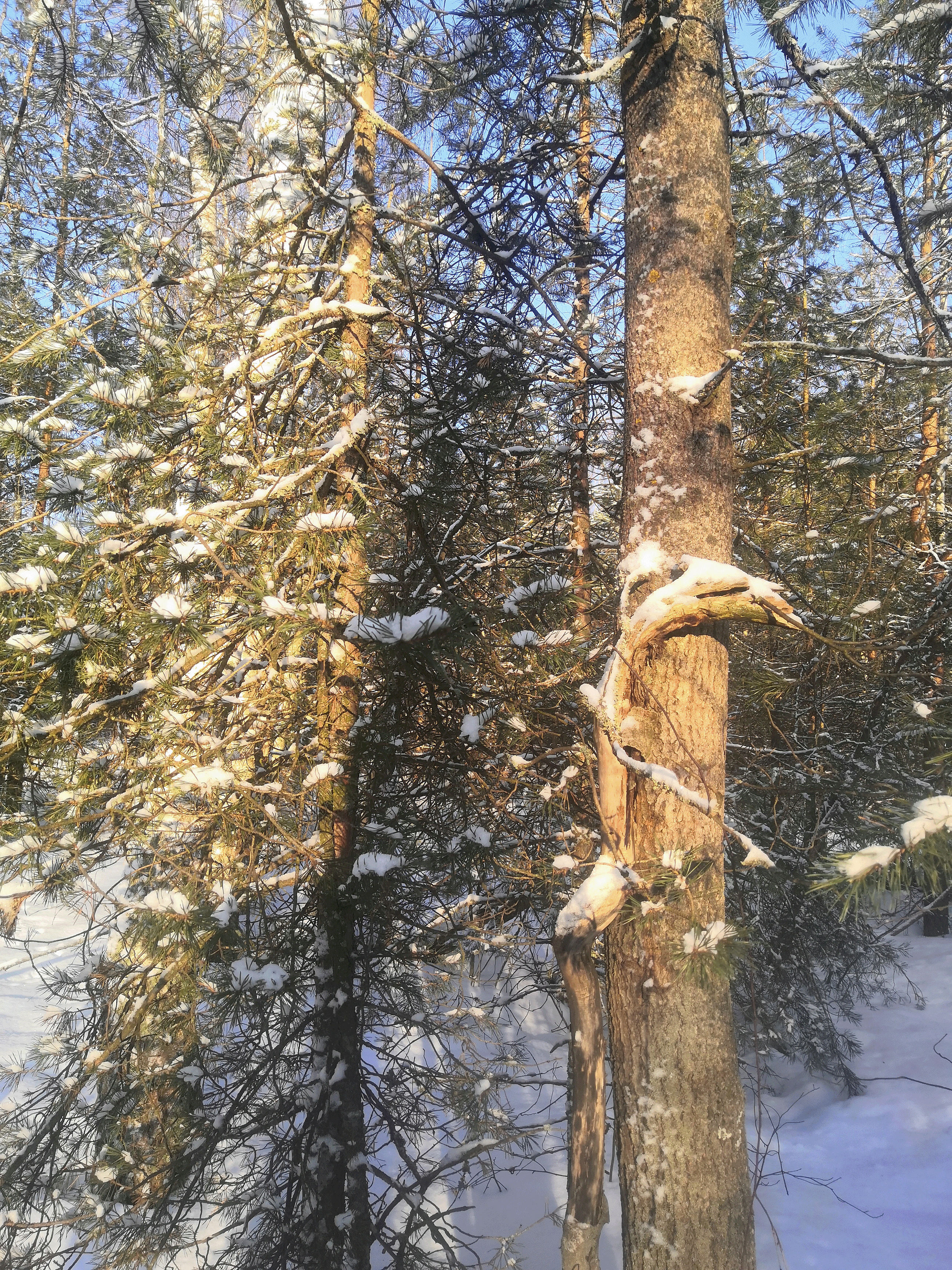 Мир Иллюстраций — Изображение №3 — Иллюстрация на Dprofile