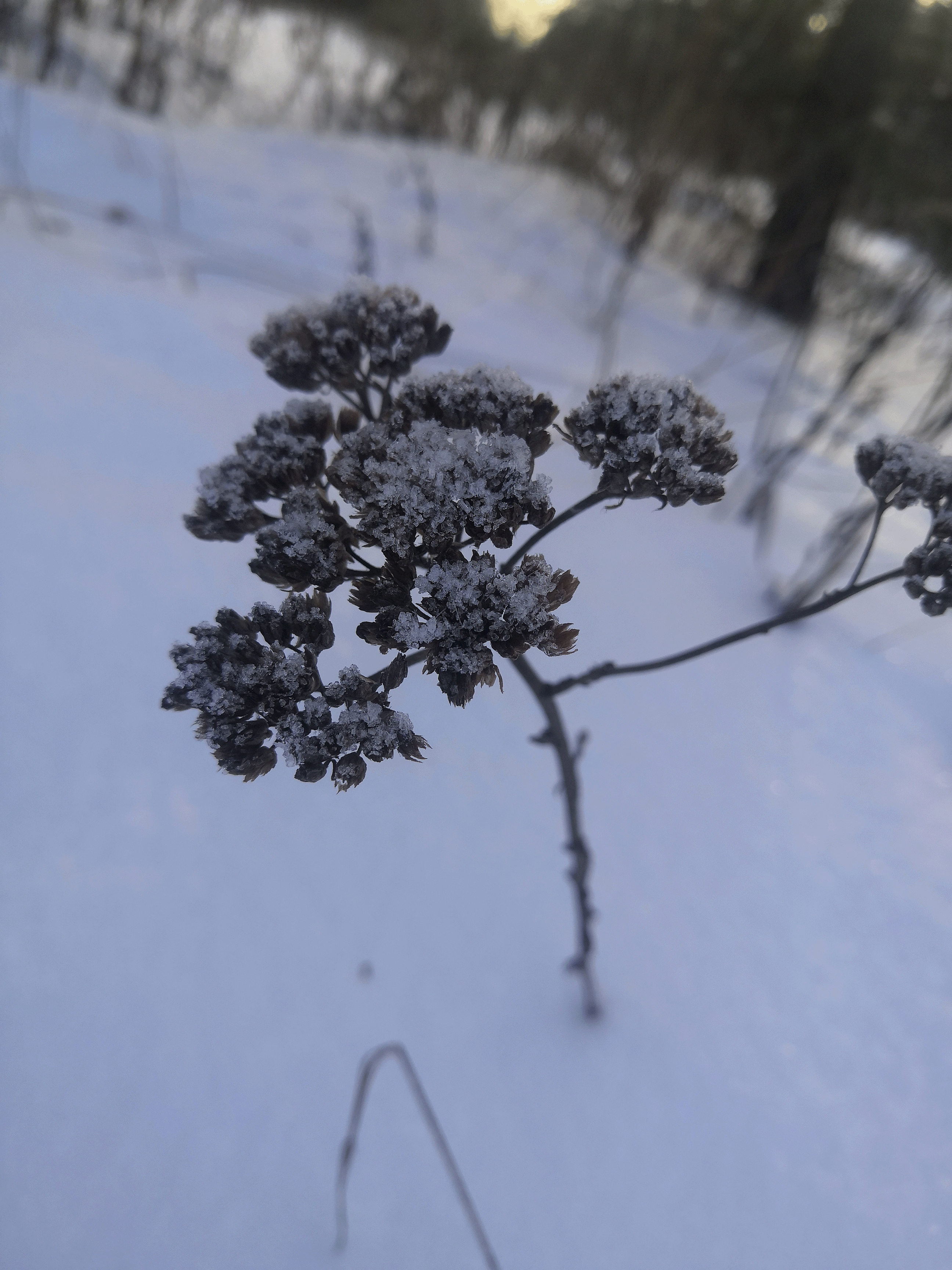 Мир Иллюстраций — Изображение №8 — Иллюстрация на Dprofile