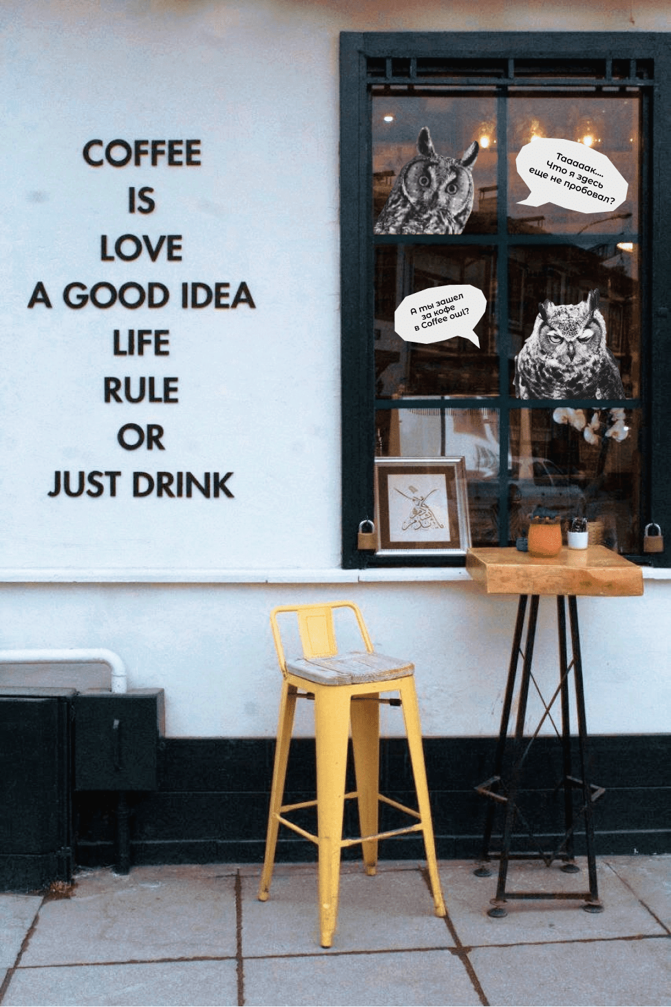 Coffee owl — coffee house branding — Изображение №20 — Брендинг на Dprofile