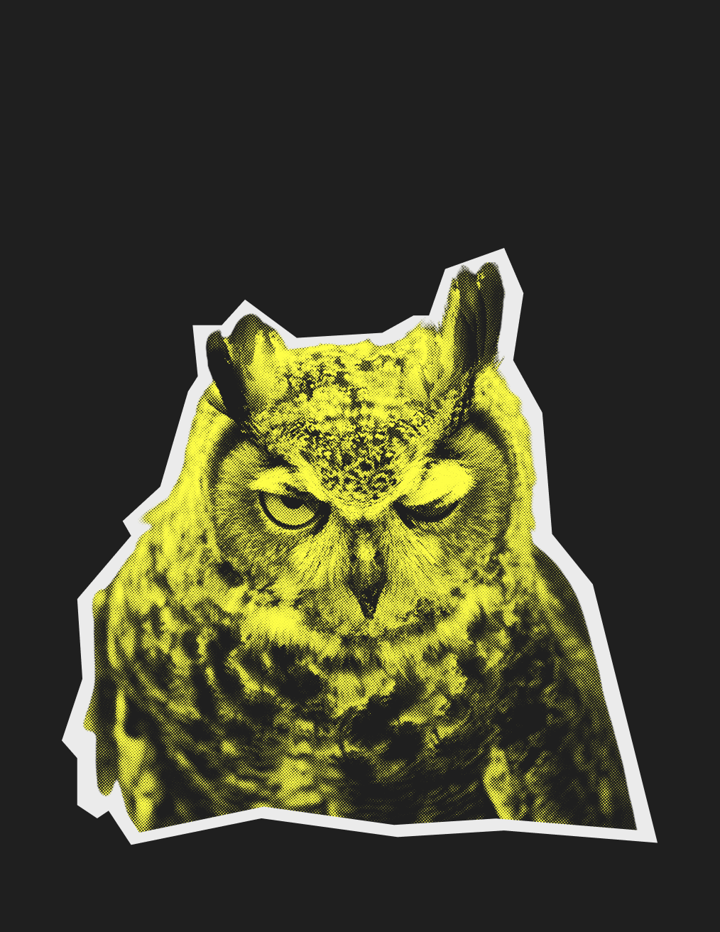 Coffee owl — coffee house branding — Изображение №11 — Брендинг на Dprofile