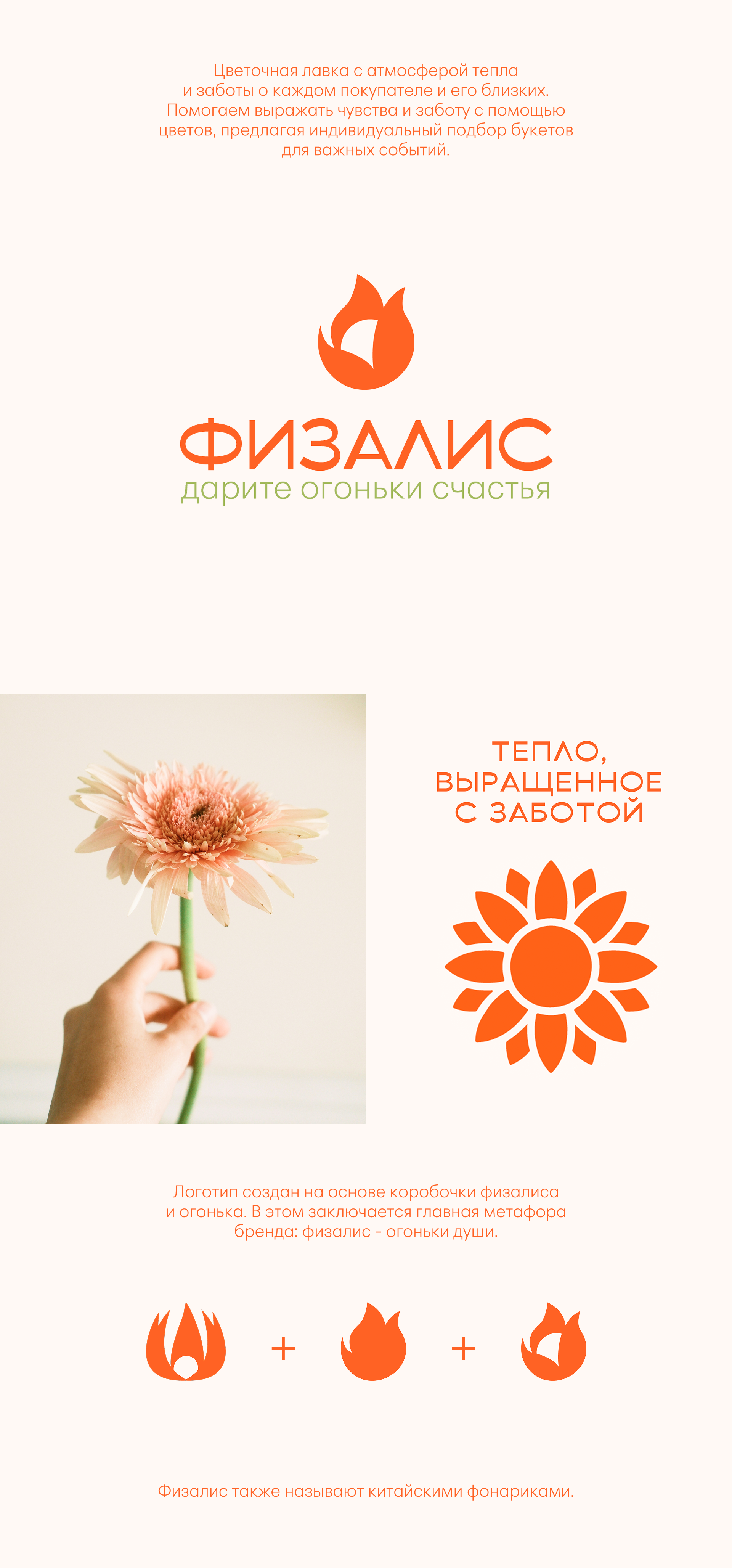 Физалис. Цветочная лавка — Изображение №2 — Брендинг, Иллюстрация на Dprofile