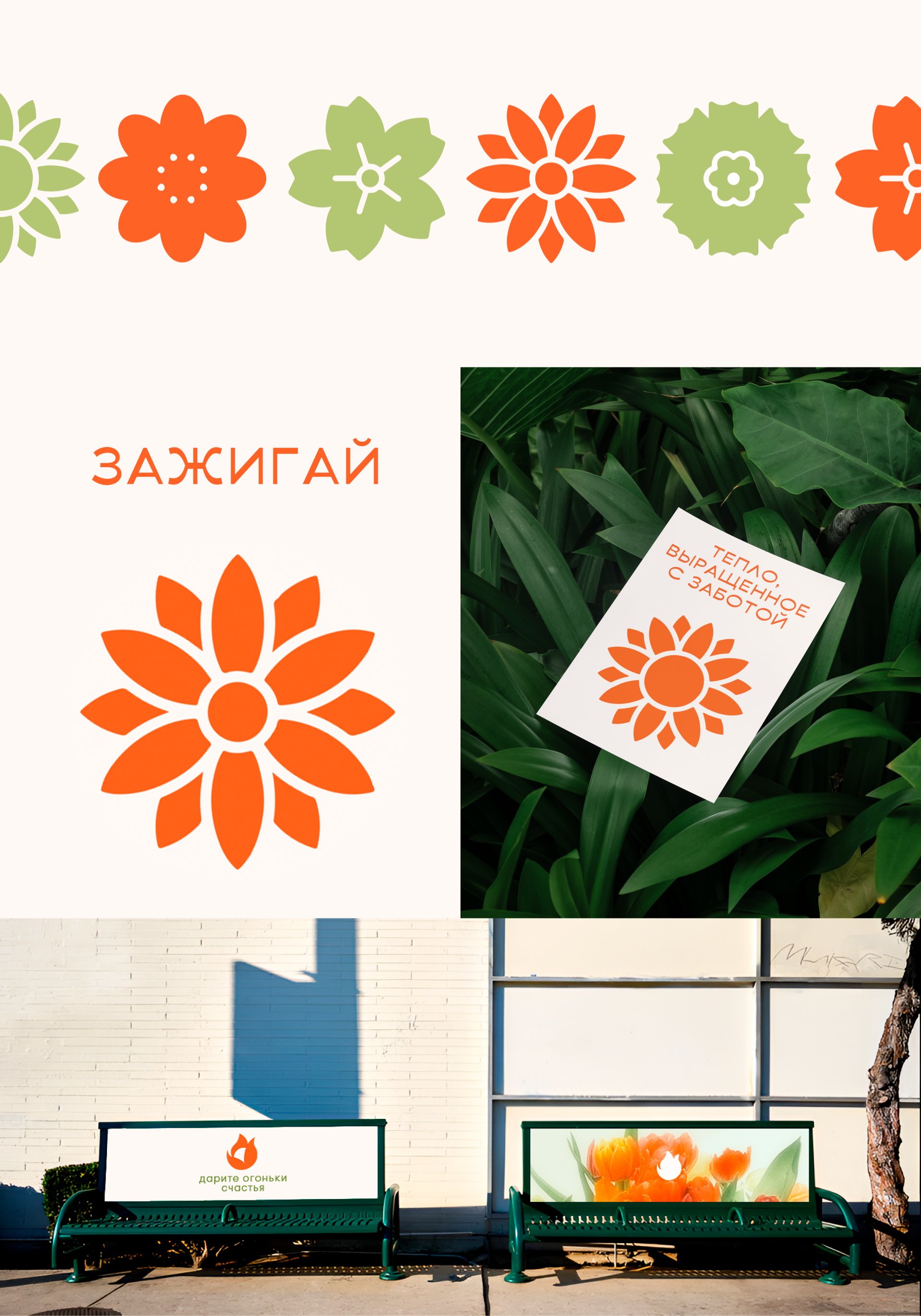 Физалис. Цветочная лавка — Изображение №7 — Брендинг, Иллюстрация на Dprofile