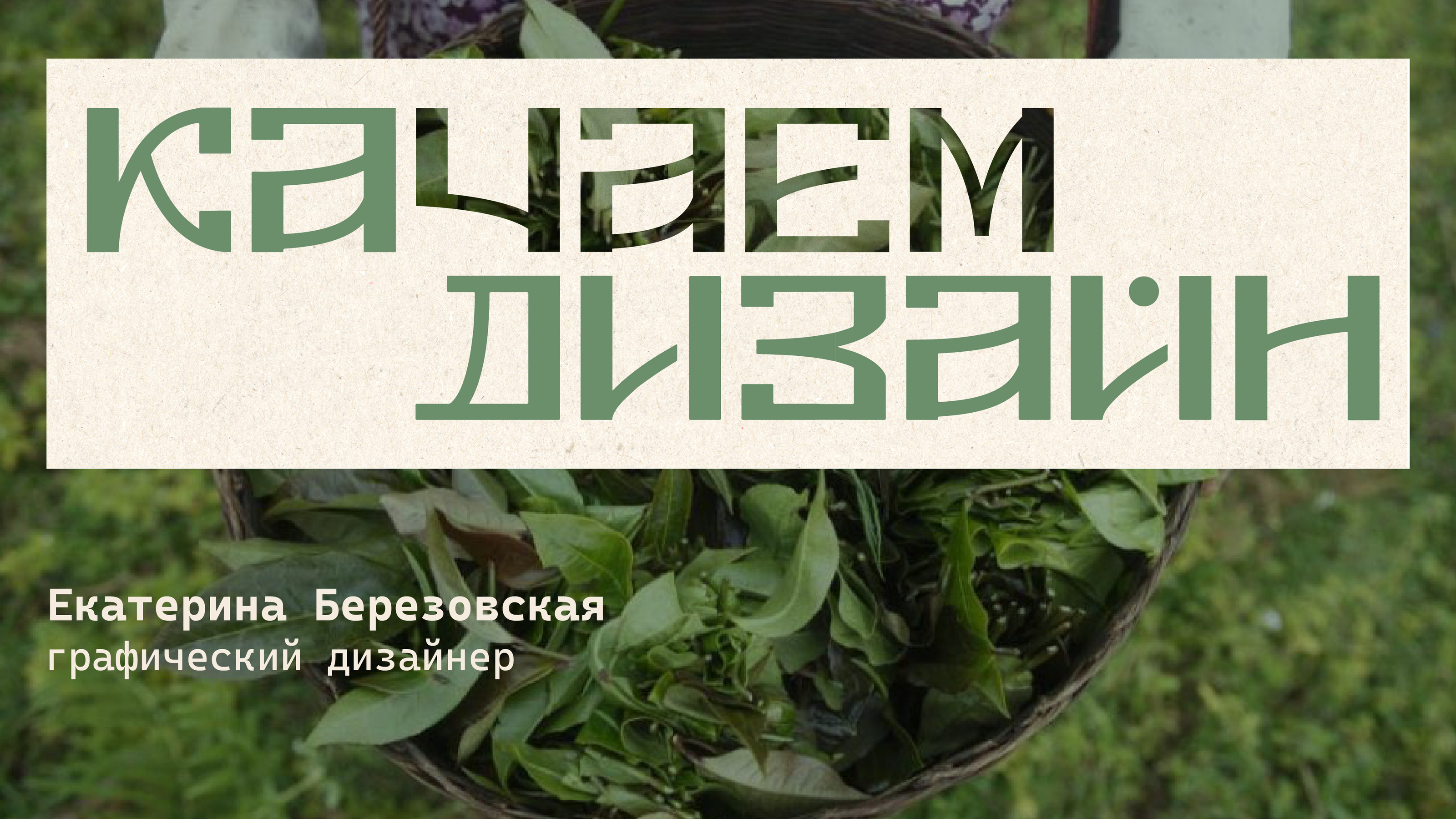 Дизайн упаковки чая Шэн Пуэр — Изображение №12 — Брендинг, Графика на Dprofile
