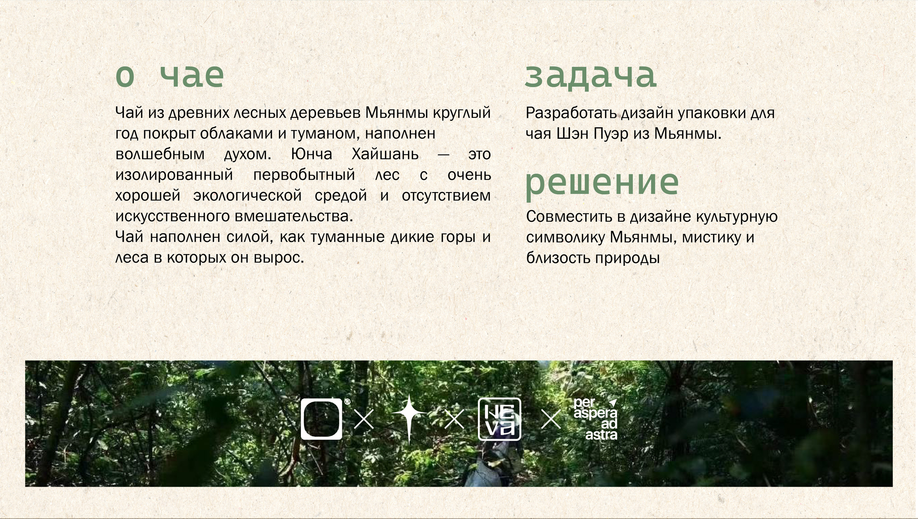 Дизайн упаковки чая Шэн Пуэр — Изображение №2 — Брендинг, Графика на Dprofile