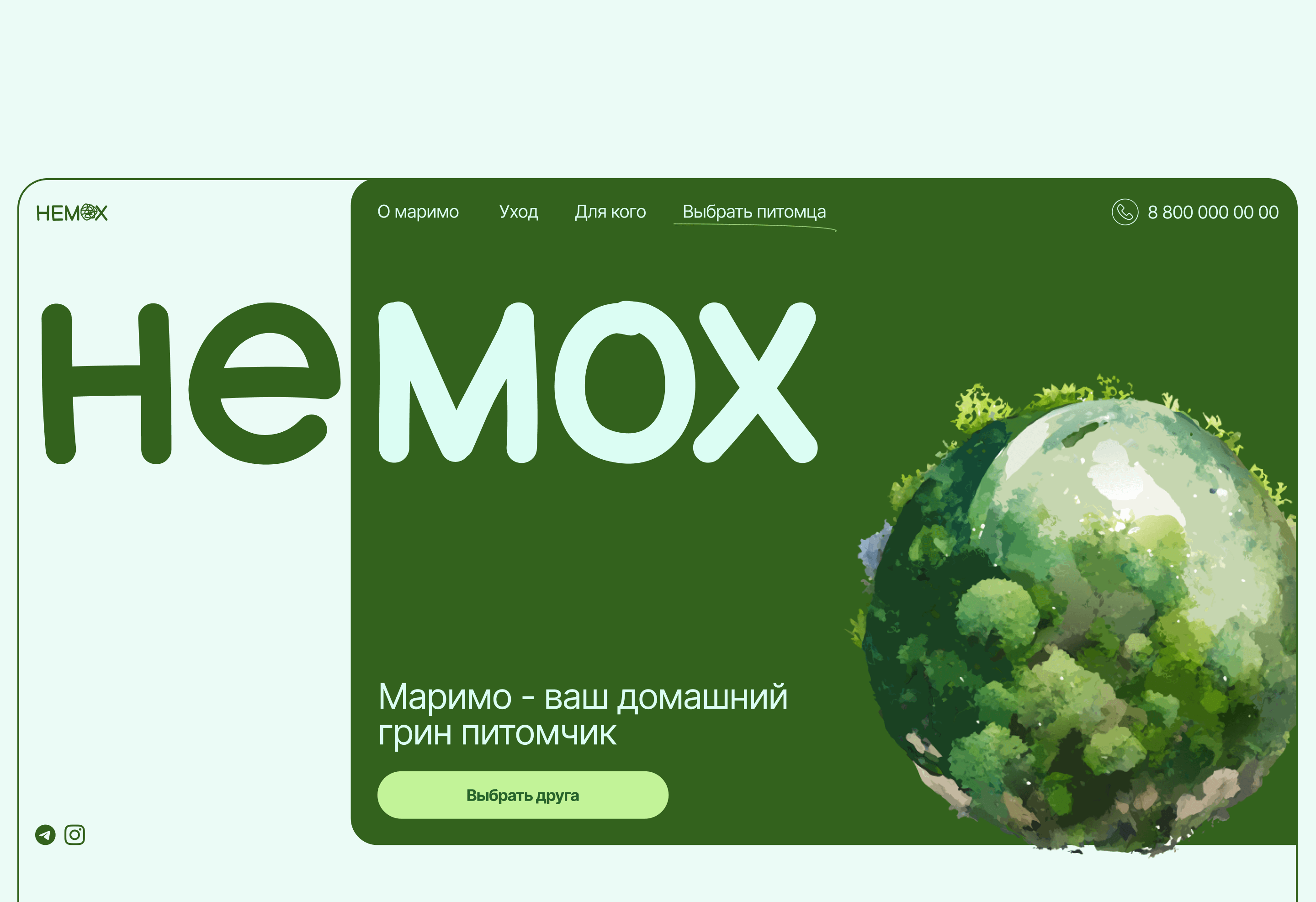 Немох / Лендинг про японскую водоросль Маримо — Изображение №3 — Иллюстрация, Графика на Dprofile