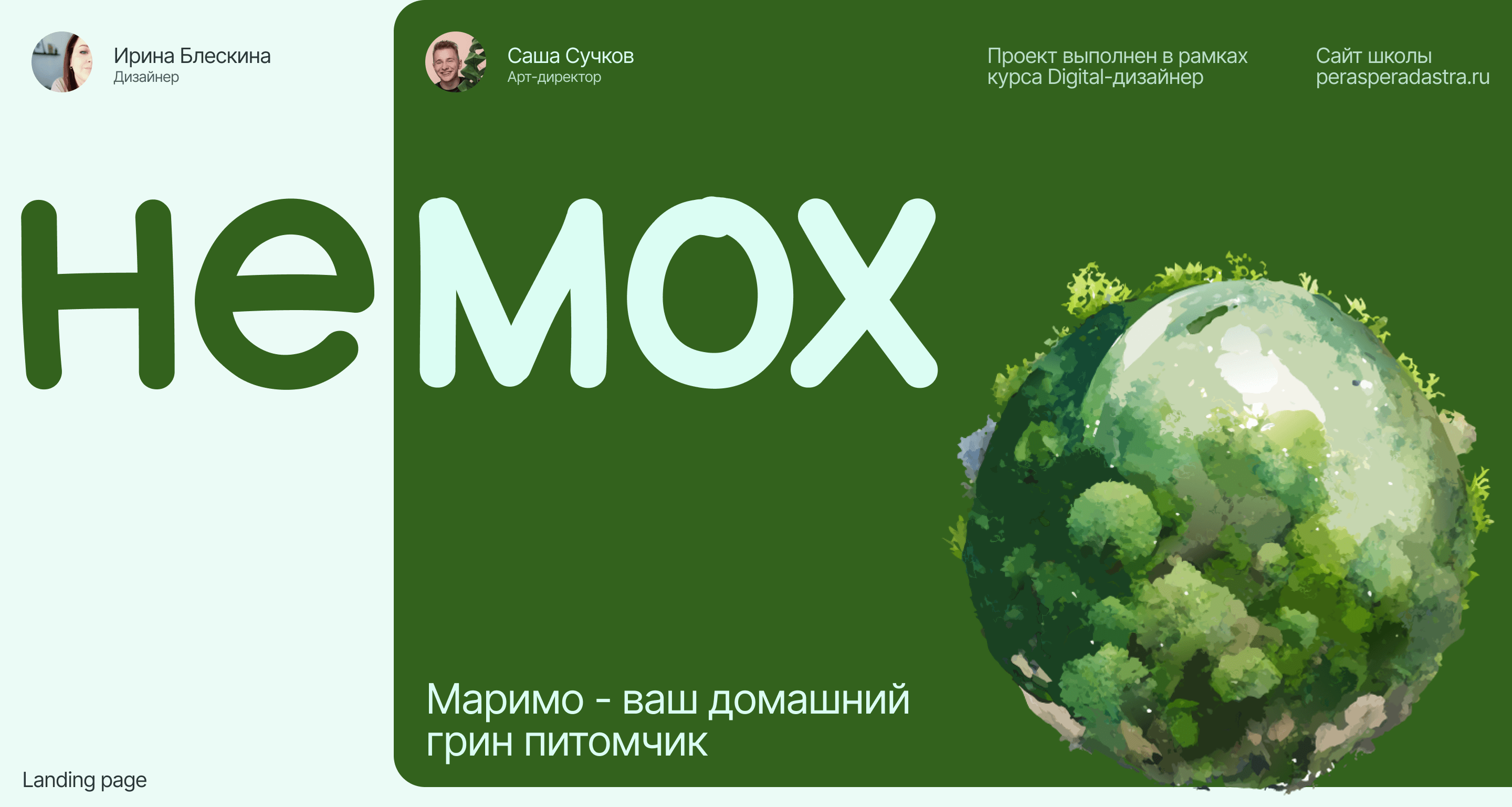 Немох / Лендинг про японскую водоросль Маримо — Изображение №1 — Иллюстрация, Графика на Dprofile