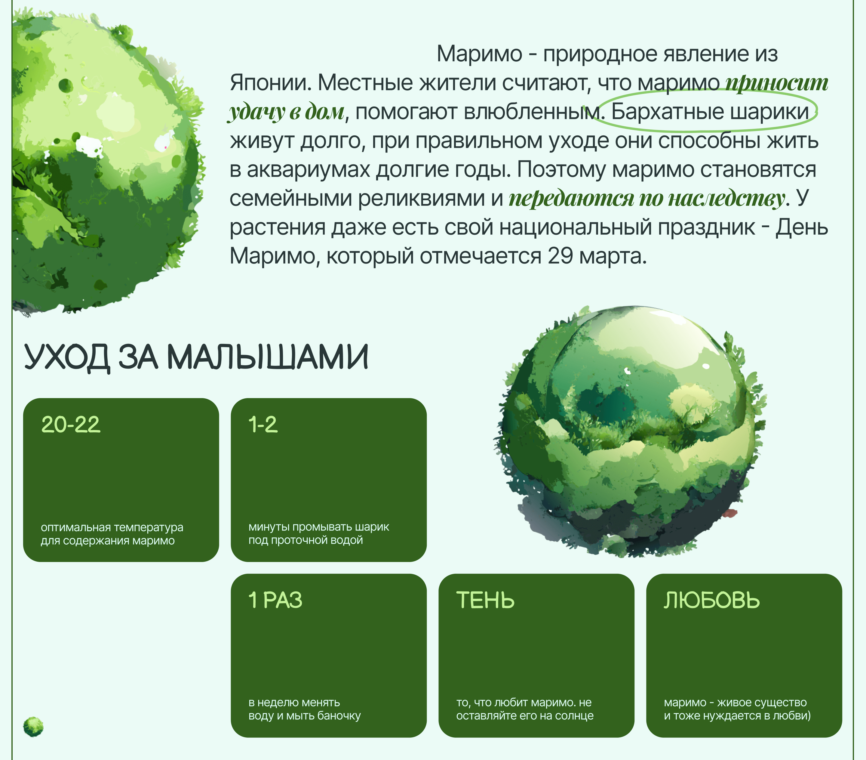 Немох / Лендинг про японскую водоросль Маримо — Изображение №4 — Иллюстрация, Графика на Dprofile