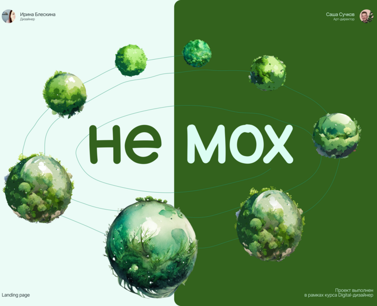 Немох / Лендинг про японскую водоросль Маримо — Иллюстрация, Графика на Dprofile