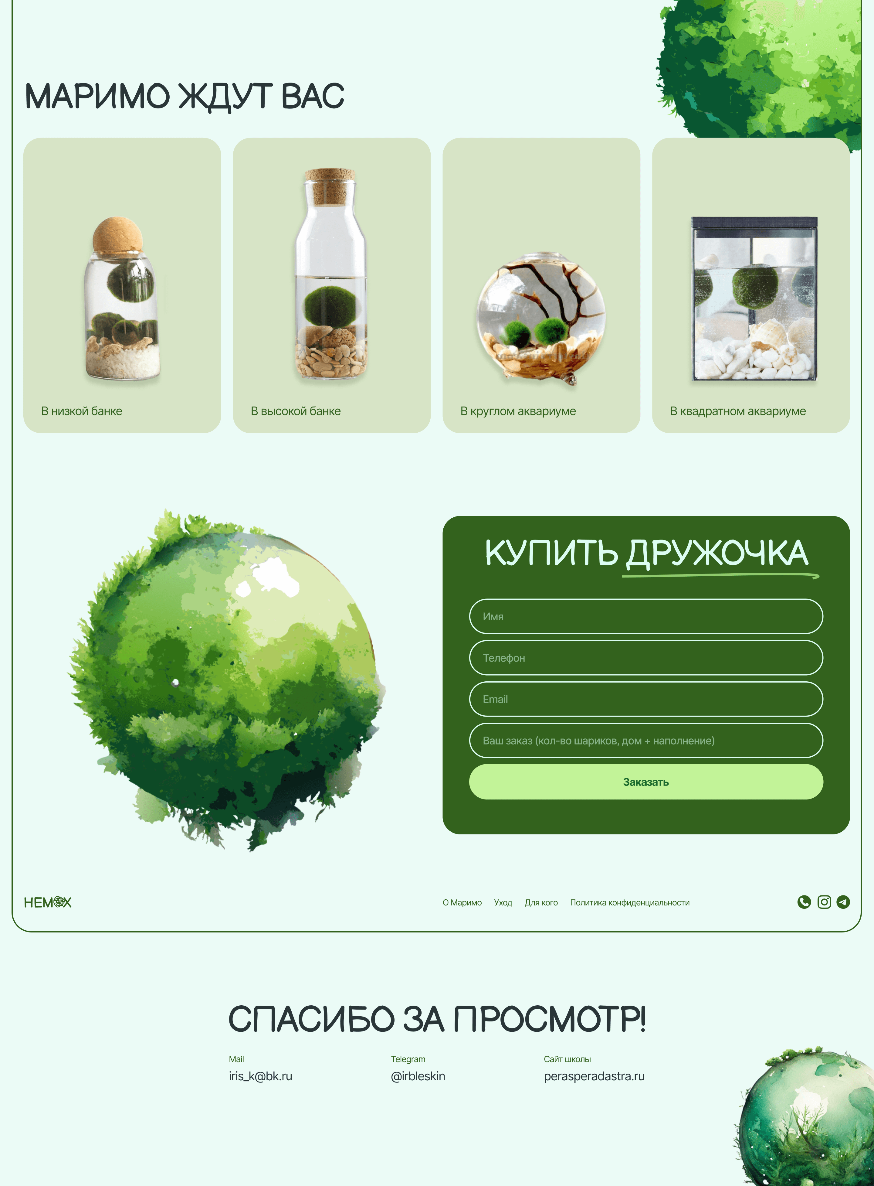 Немох / Лендинг про японскую водоросль Маримо — Изображение №6 — Иллюстрация, Графика на Dprofile
